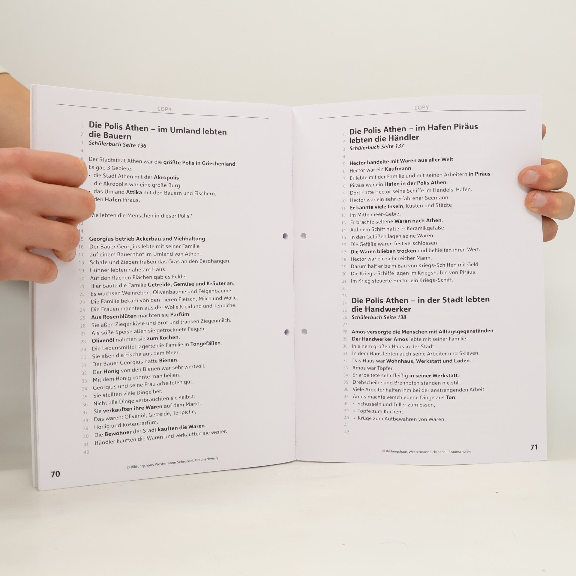 Thomas Bauer Trio Plus - 5: Trio - Geschichte, Politik, Geographie