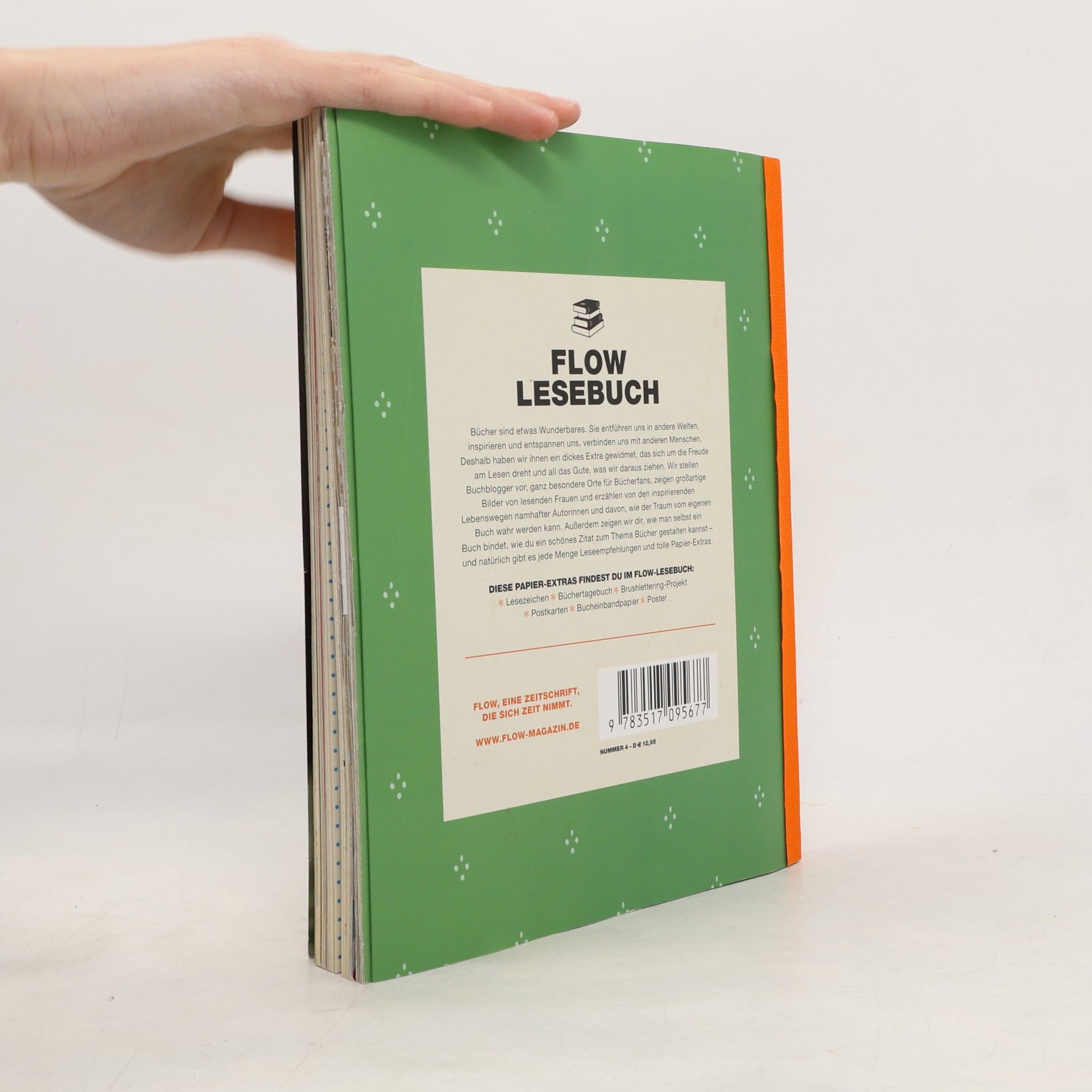 Autorenkollektiv Flow Lesebuch 2016