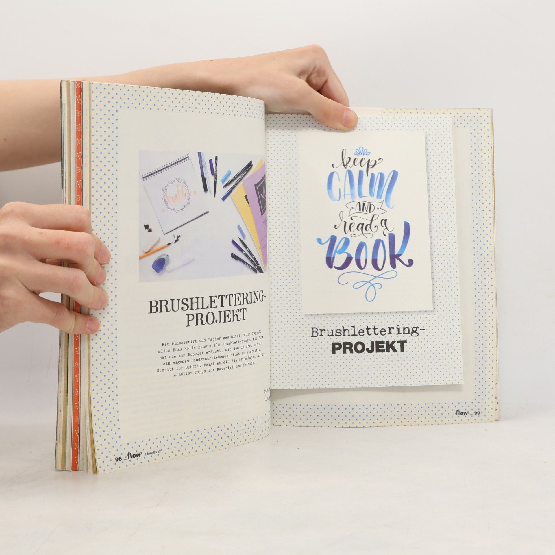 Autorenkollektiv Flow Lesebuch 2016