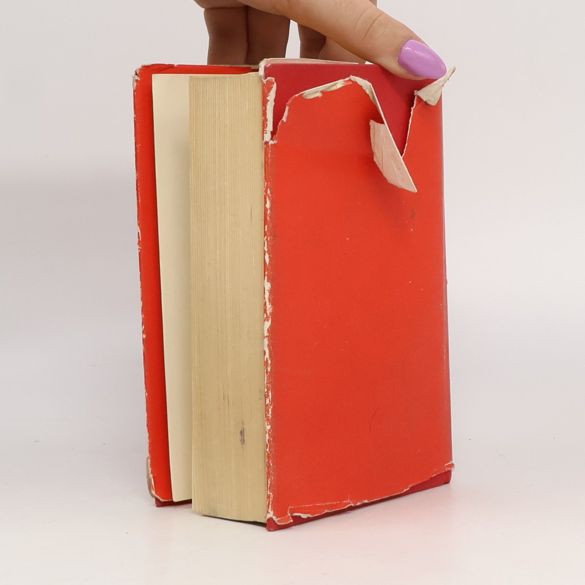 Kolektiv autorů Bürgerliches Gesetzbuch und zugehörige Gesetze