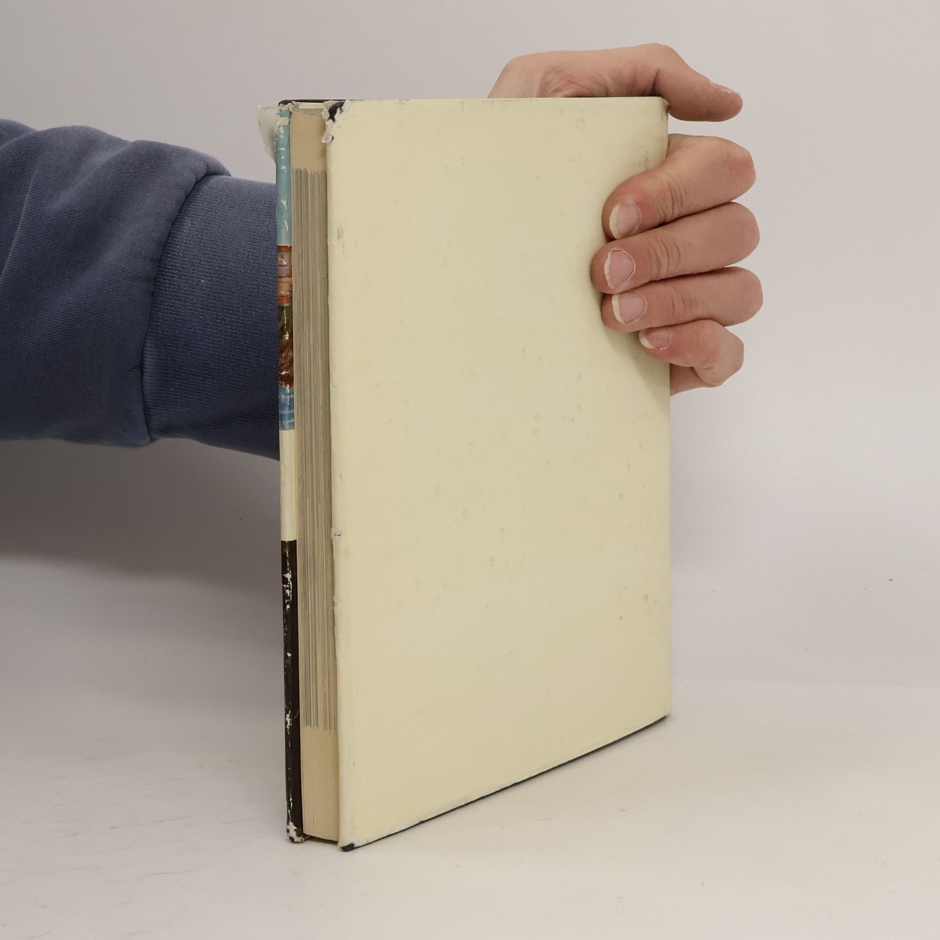 Kurt Salzer Geschichten und geheimnisse um berühmte Maler und ihre Bilder