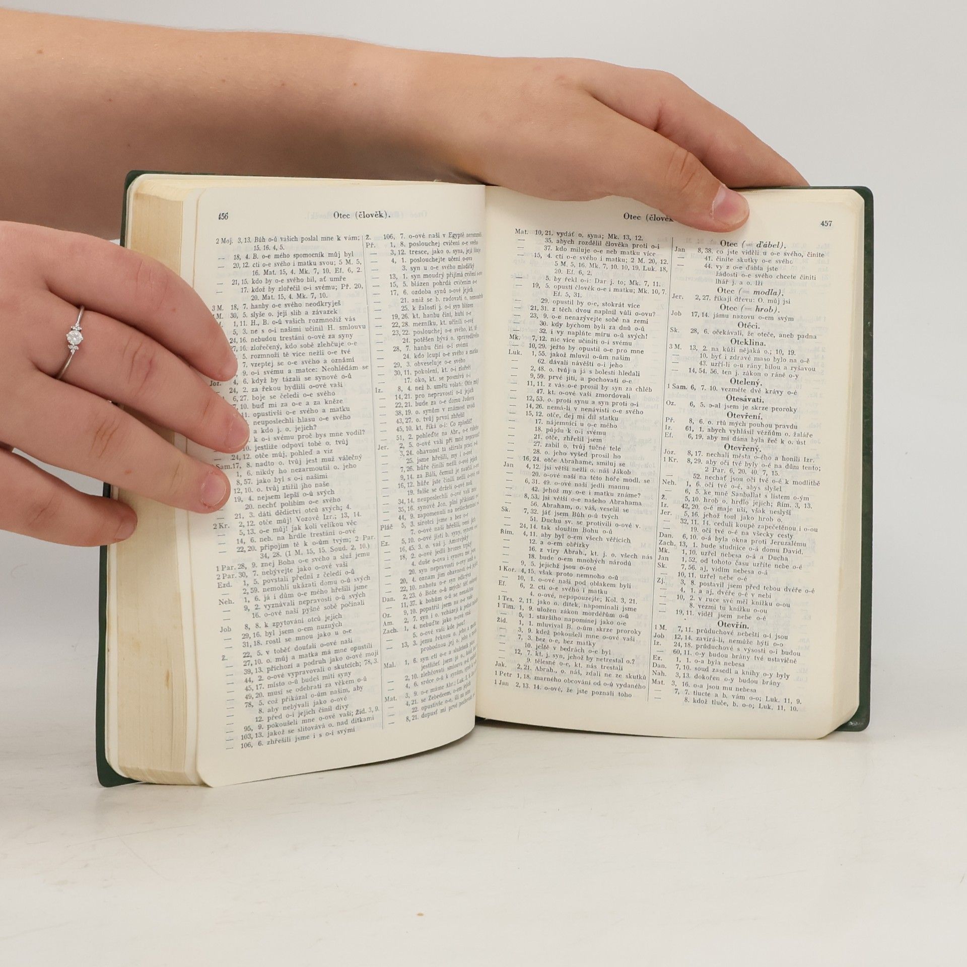 Various authors Biblická konkordance