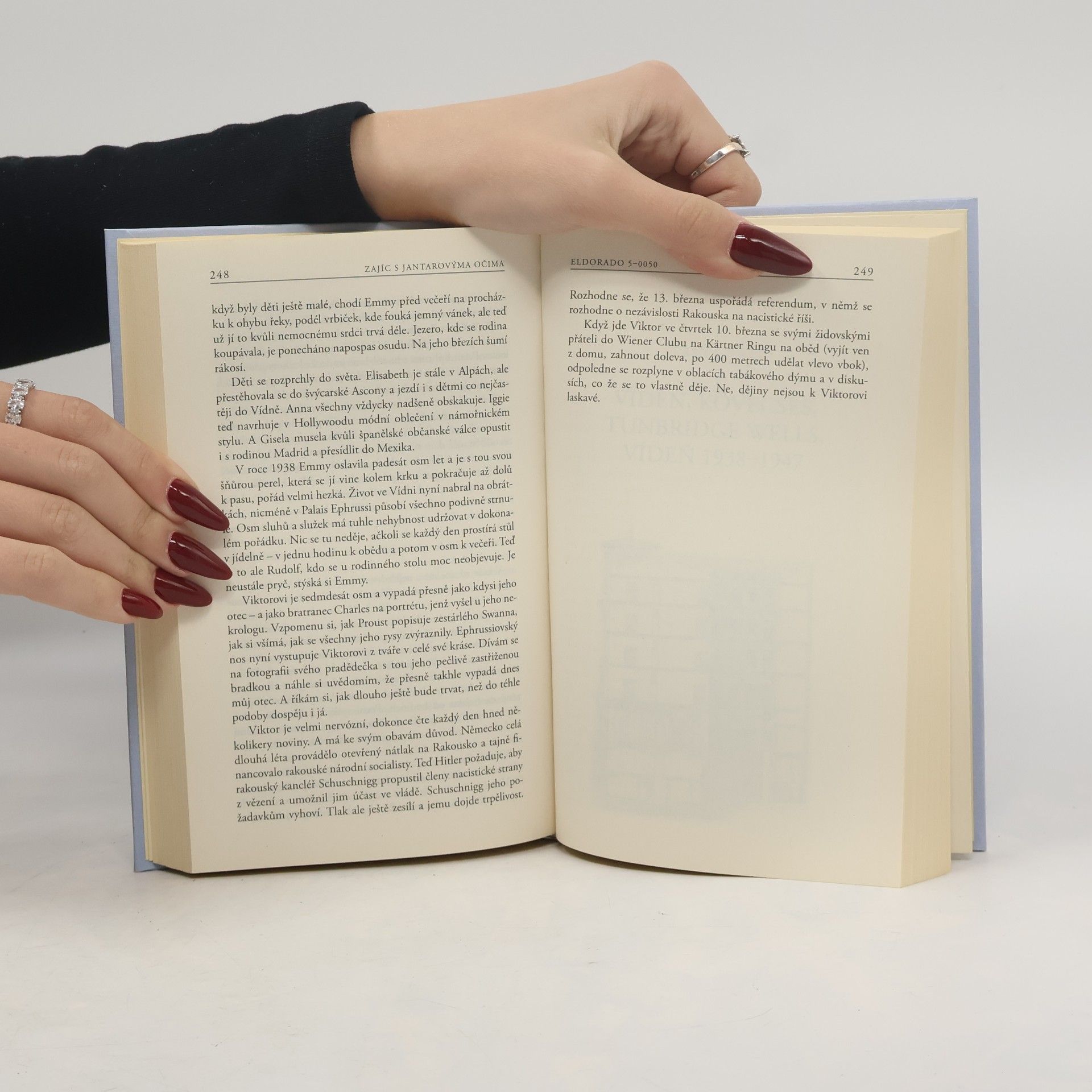 Edmund De Waal Zajíc s jantarovýma očima
