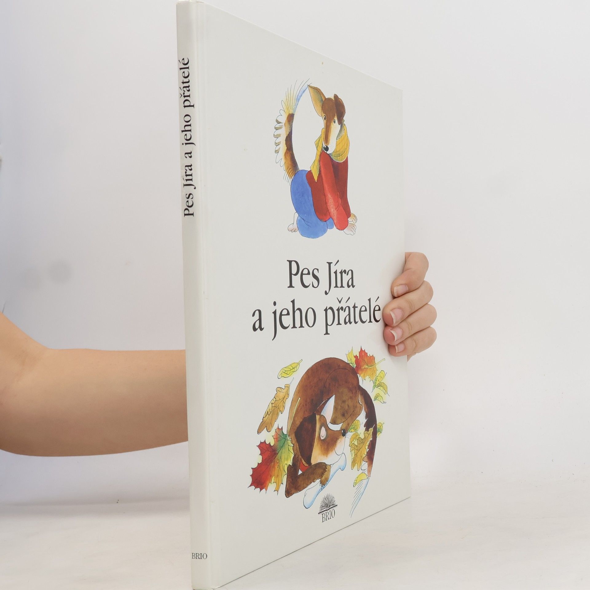 Martina Drijverová Pes Jíra a jeho přátelé