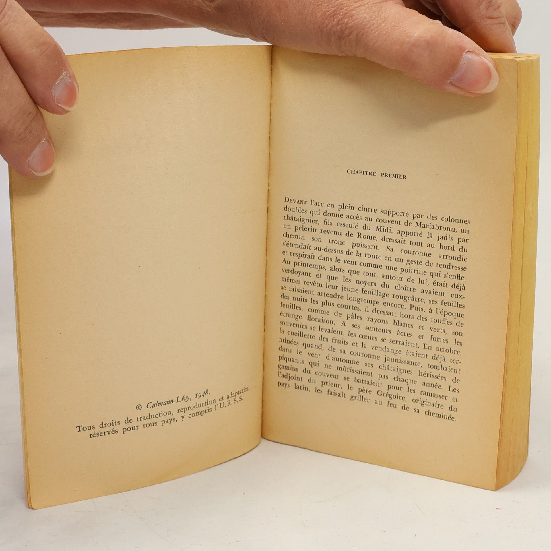 Hermann Hesse Narcisse et Goldmund