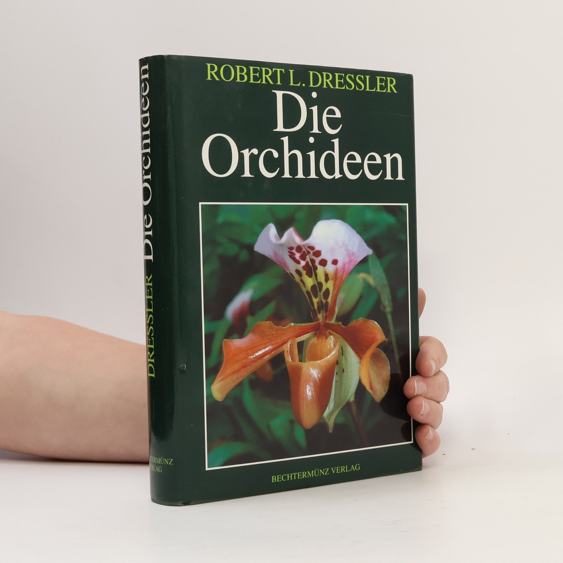 Die Orchideen