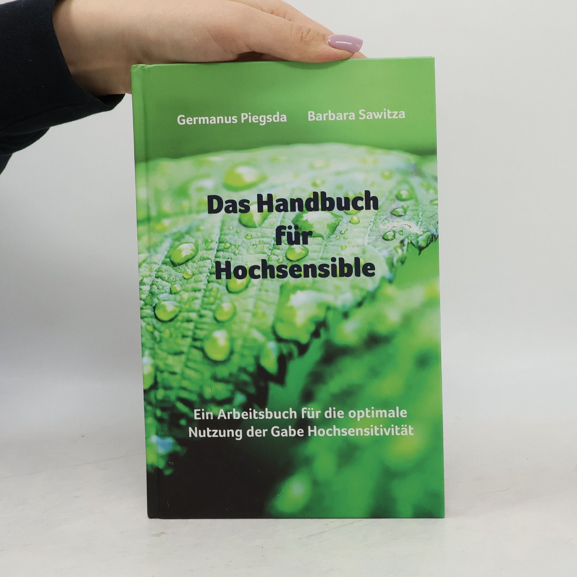 Germanus Piegsda Das Handbuch für Hochsensible