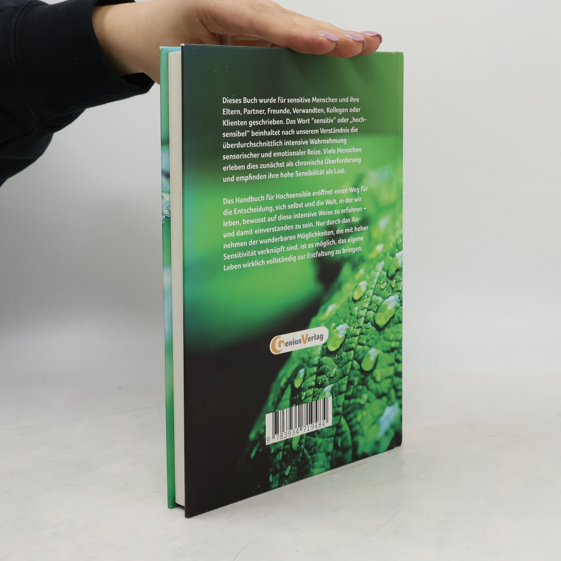 Germanus Piegsda Das Handbuch für Hochsensible