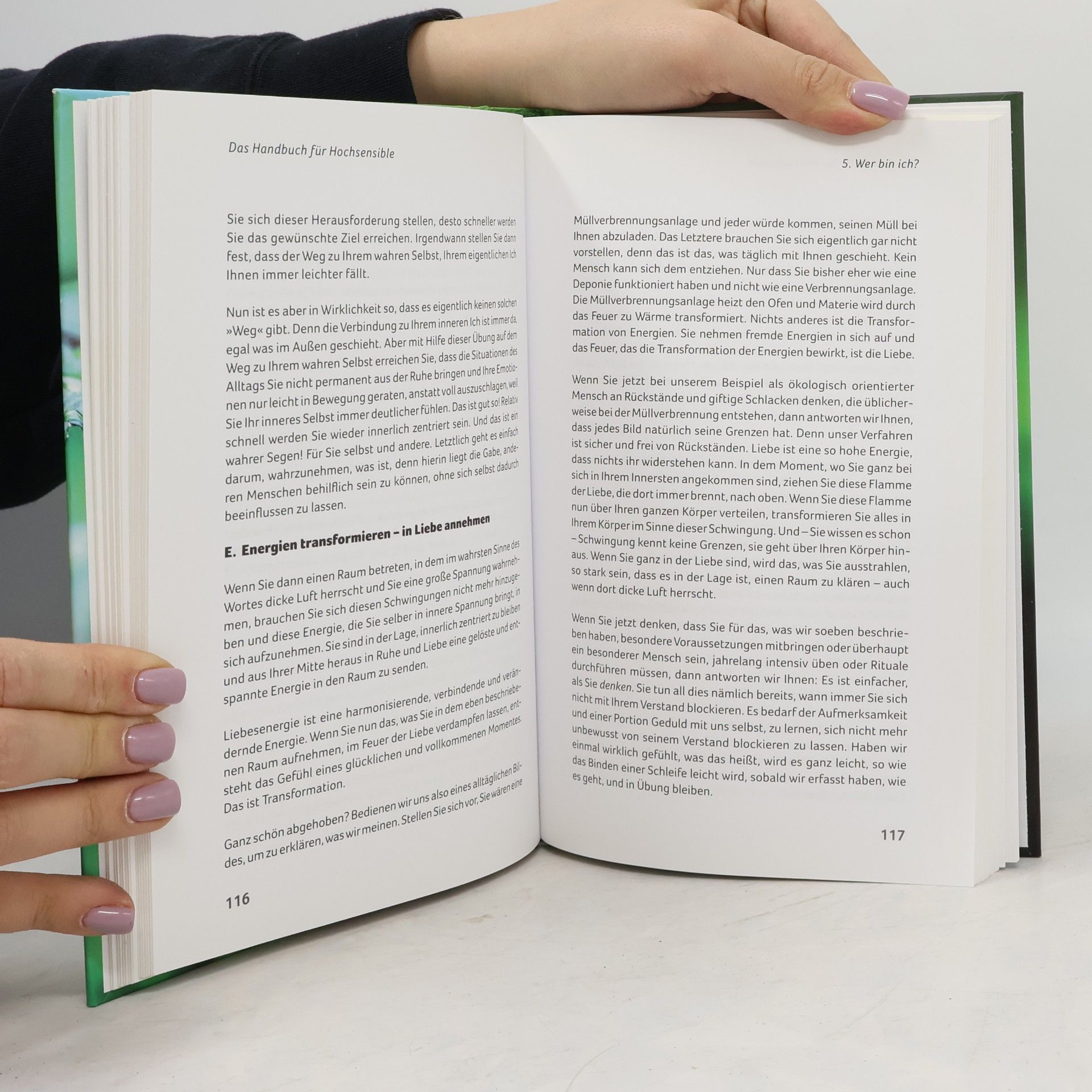 Germanus Piegsda Das Handbuch für Hochsensible