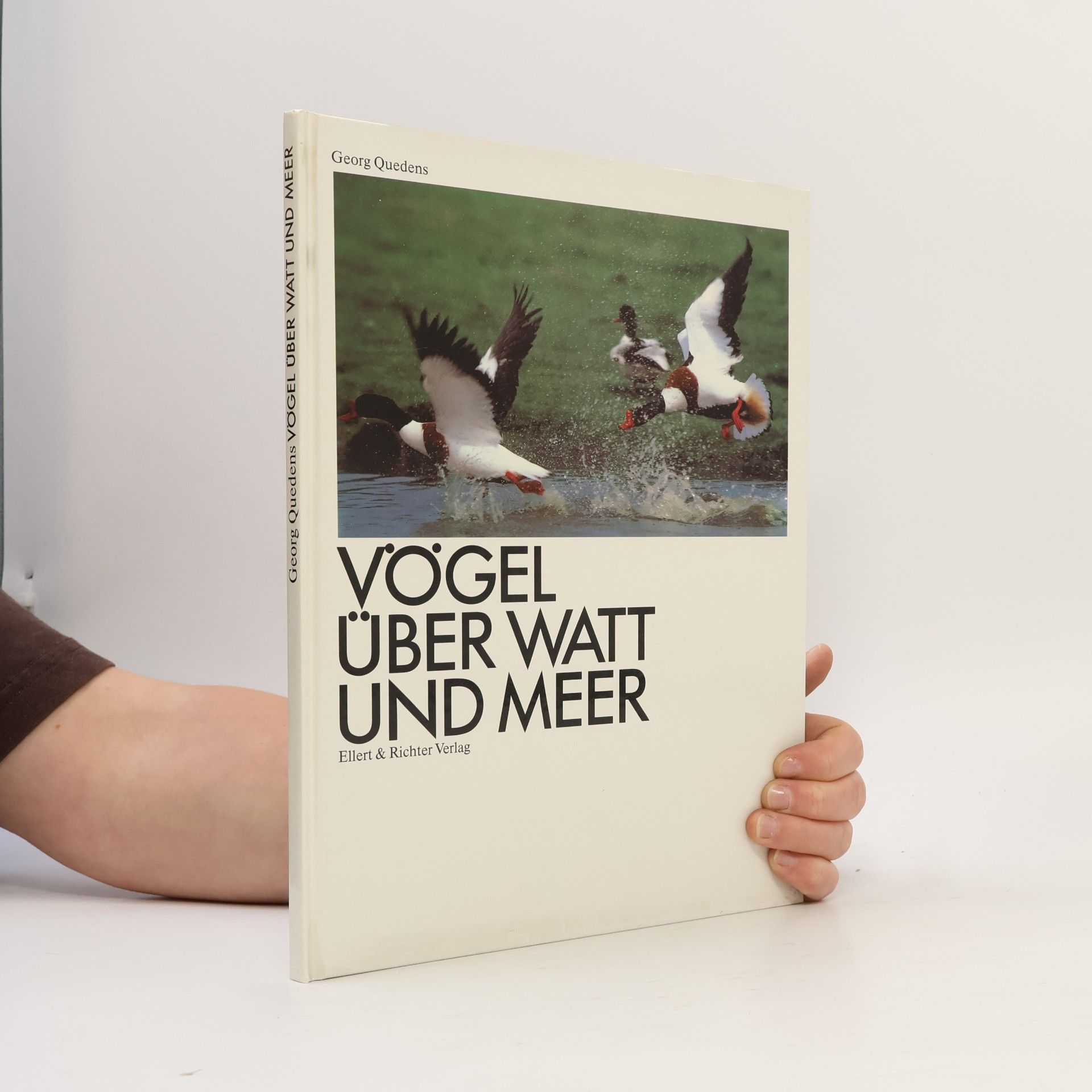 Vögel über Watt und Meer