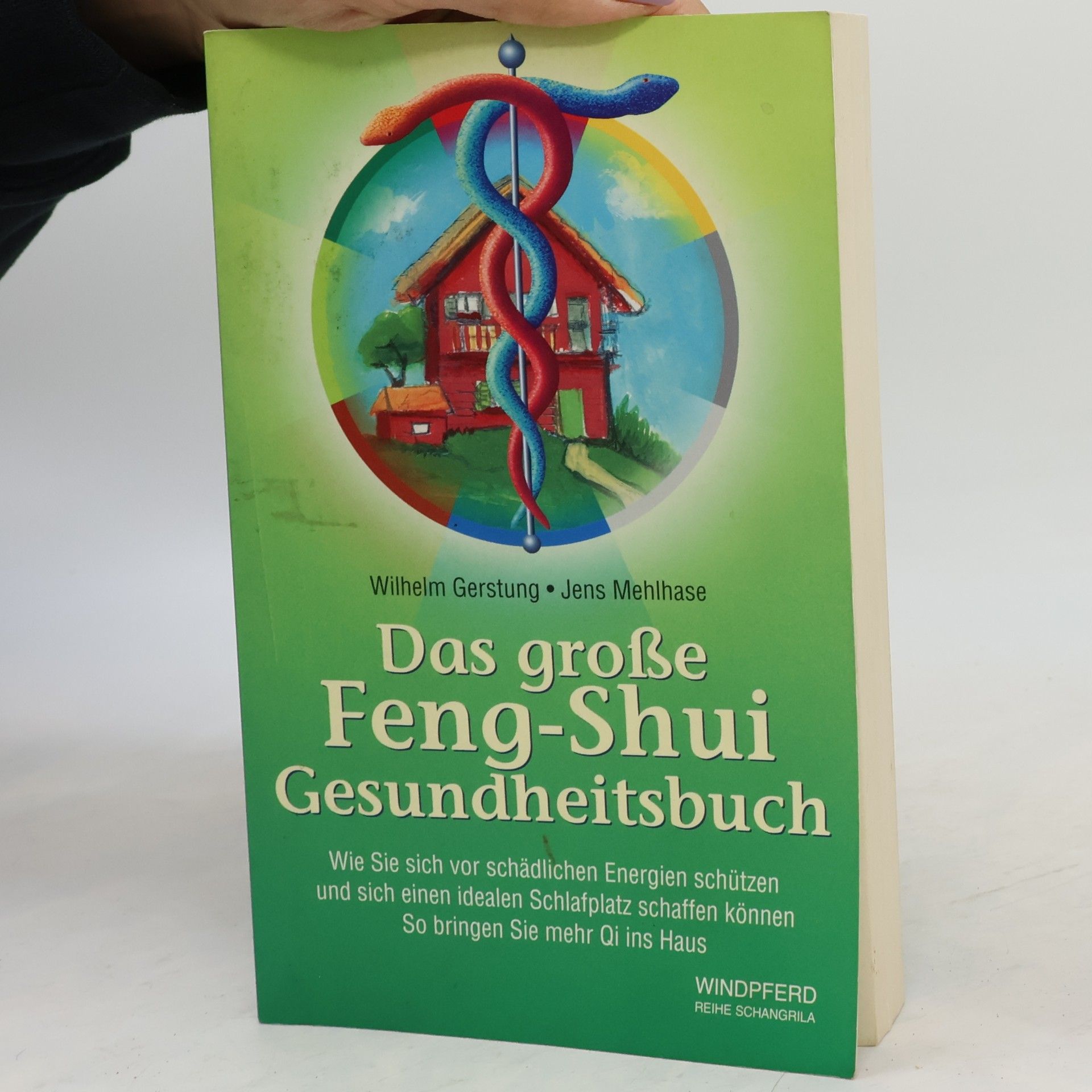 Reihe Shangrila: Das grosse Feng Shui Gesundheitsbuch: Wie Sie sich vor schädlichen Energien schützen und einen idealen Schlafplatz schaffen können. So bringen Sie mehr Qi ins Haus