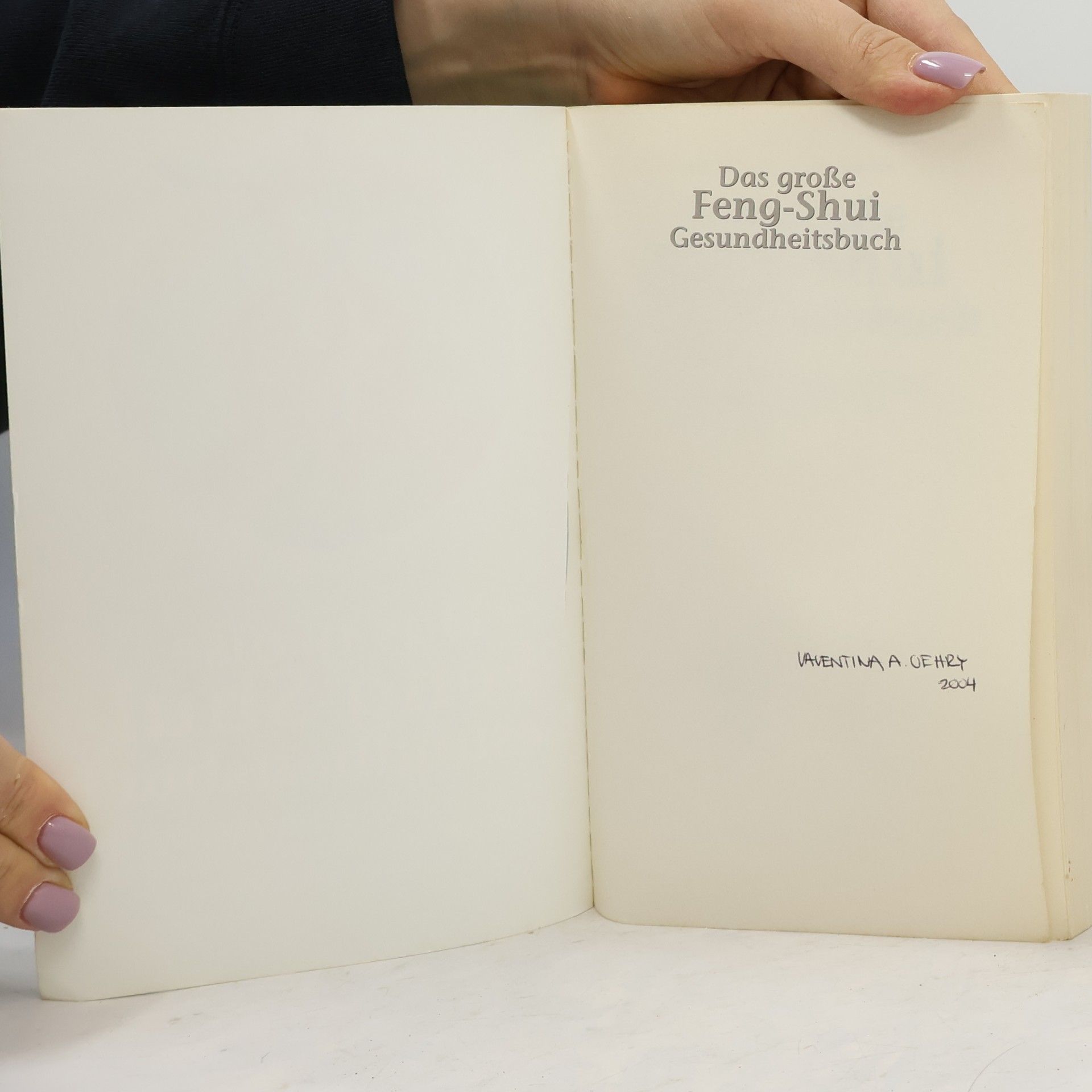 Wilhelm Gerstung Reihe Shangrila: Das grosse Feng Shui Gesundheitsbuch: Wie Sie sich vor schädlichen Energien schützen und einen idealen Schlafplatz schaffen können. So bringen Sie mehr Qi ins Haus