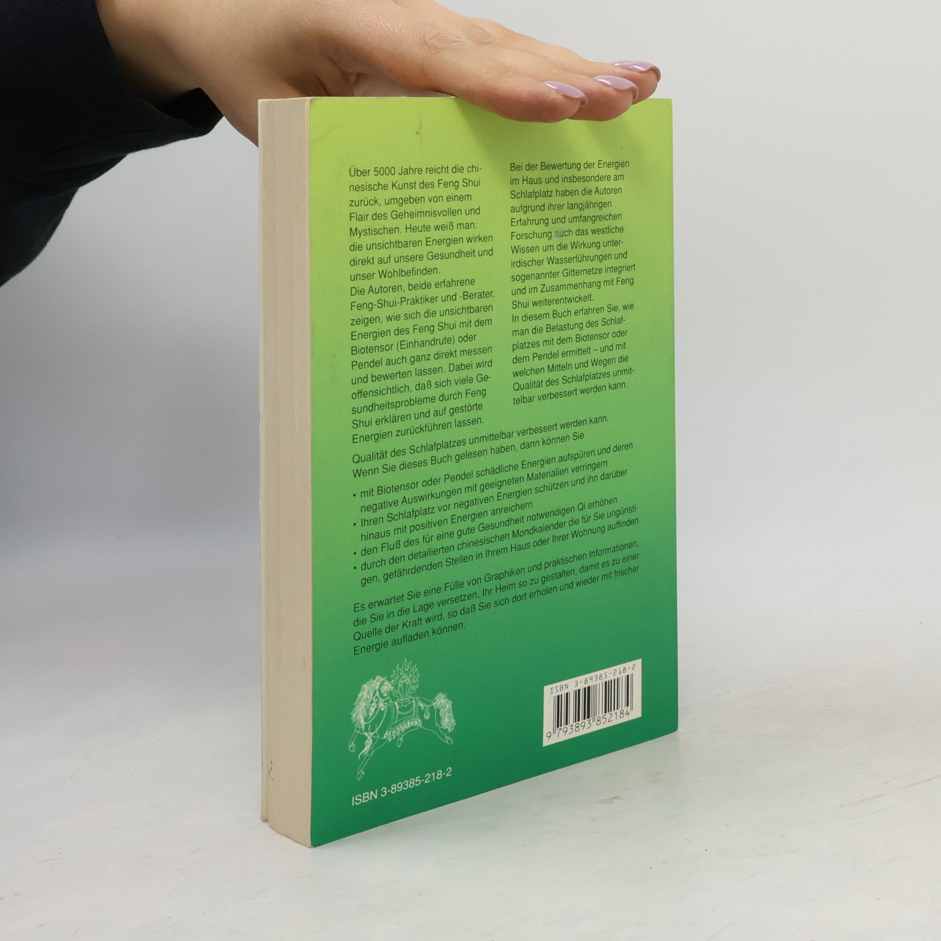 Wilhelm Gerstung Reihe Shangrila: Das grosse Feng Shui Gesundheitsbuch: Wie Sie sich vor schädlichen Energien schützen und einen idealen Schlafplatz schaffen können. So bringen Sie mehr Qi ins Haus