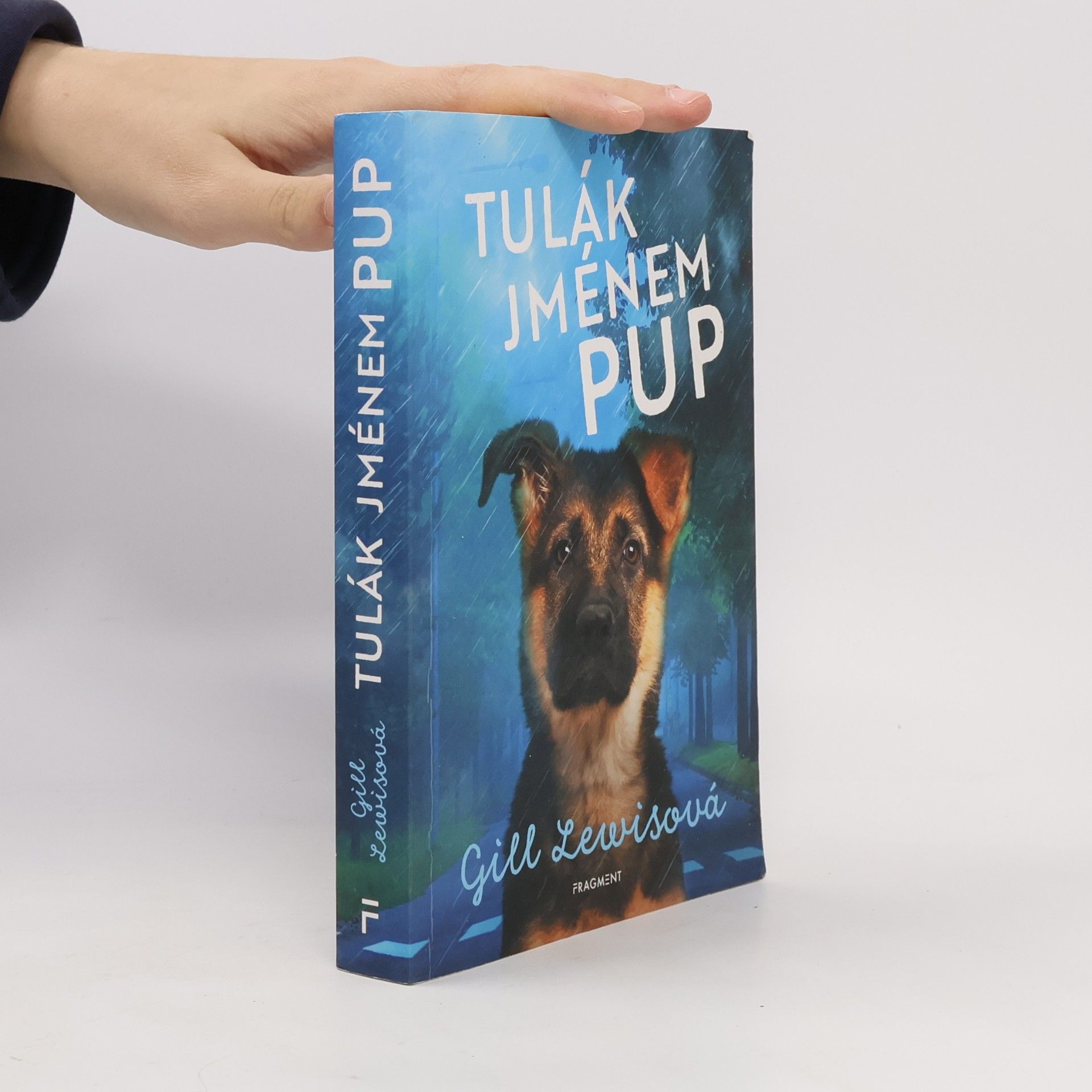 Tulák jménem Pup