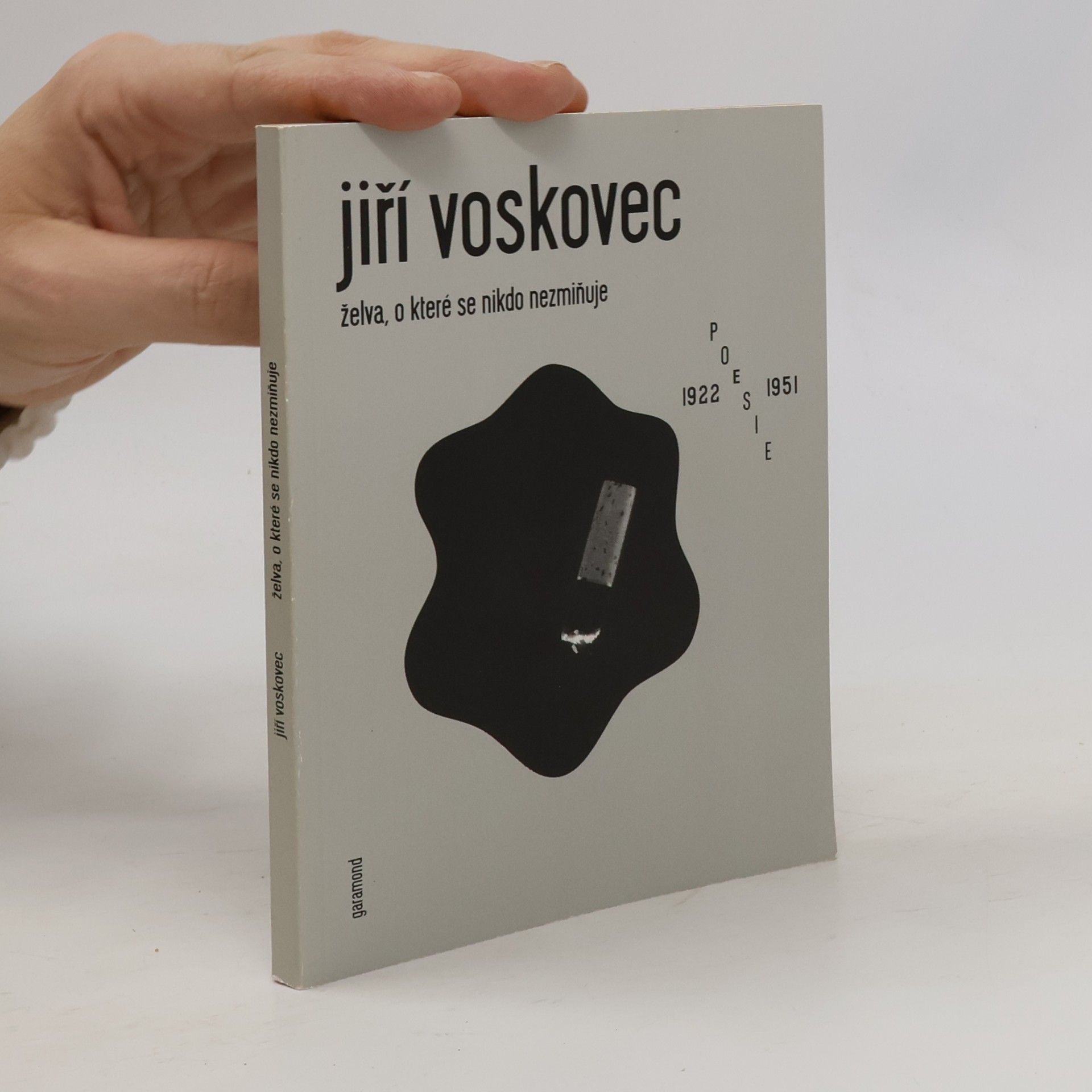 Želva, o které se nikdo nezmiňuje