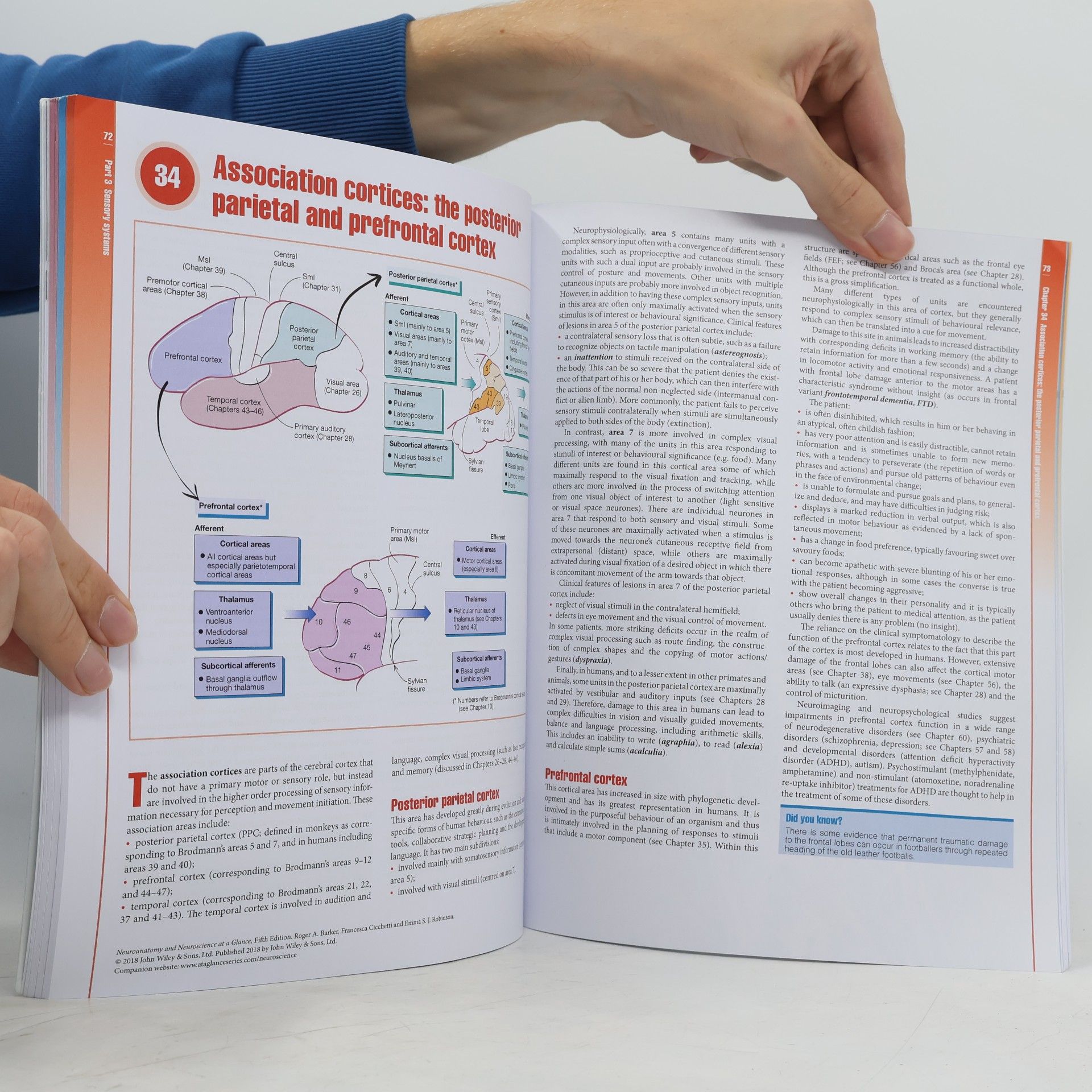 Roger A. Barker Neuroanatomy and Neuroscience at a Glance