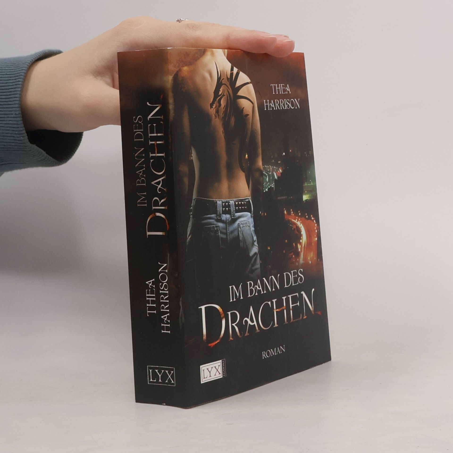 Im Bann des Drachen