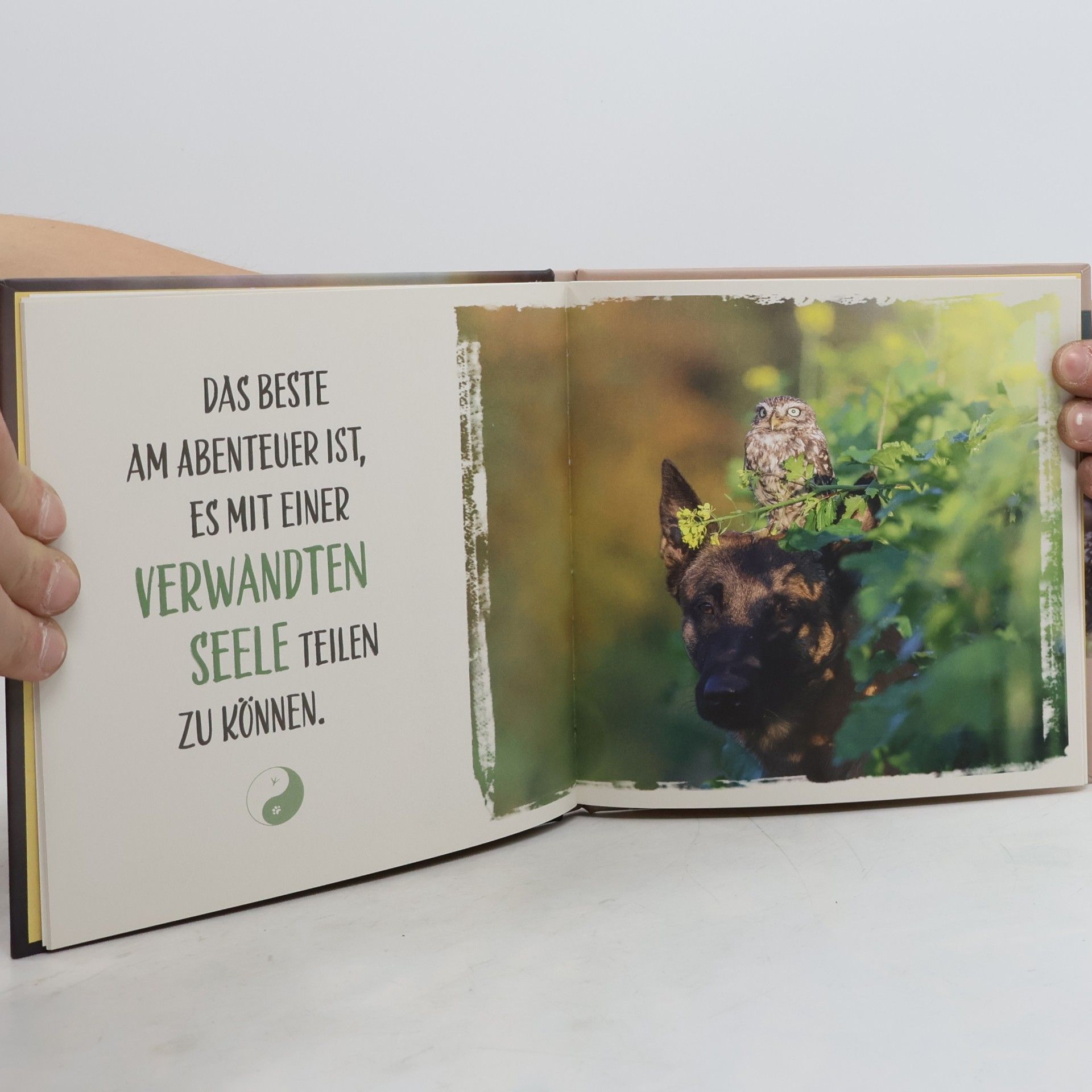 Tanja Brandt Ich flieg auf dich
