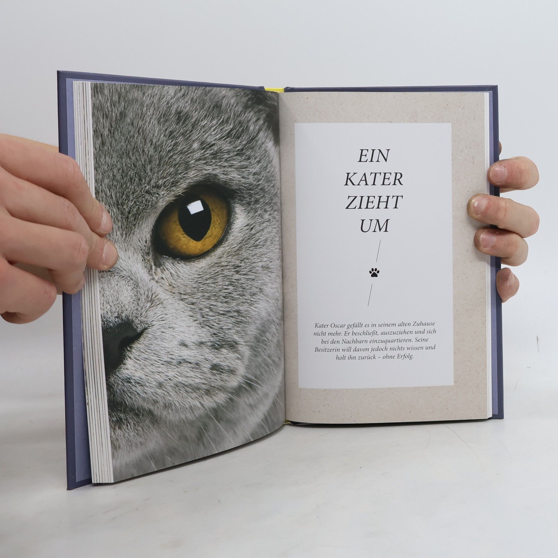 Gabriele LinkeGrün Die unglaublichen Fähigkeiten der Katze