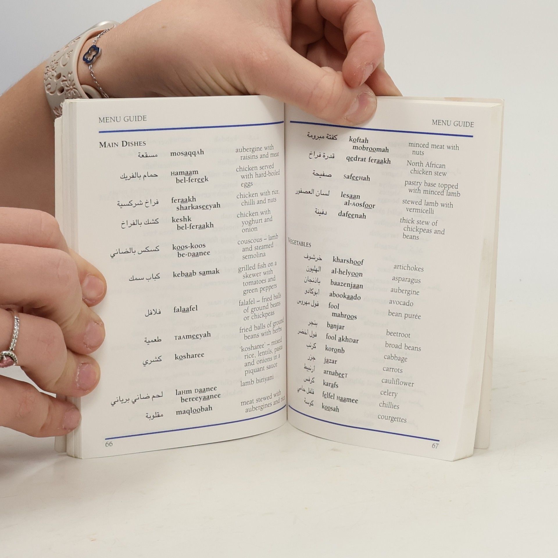 Arabic Phrase Book