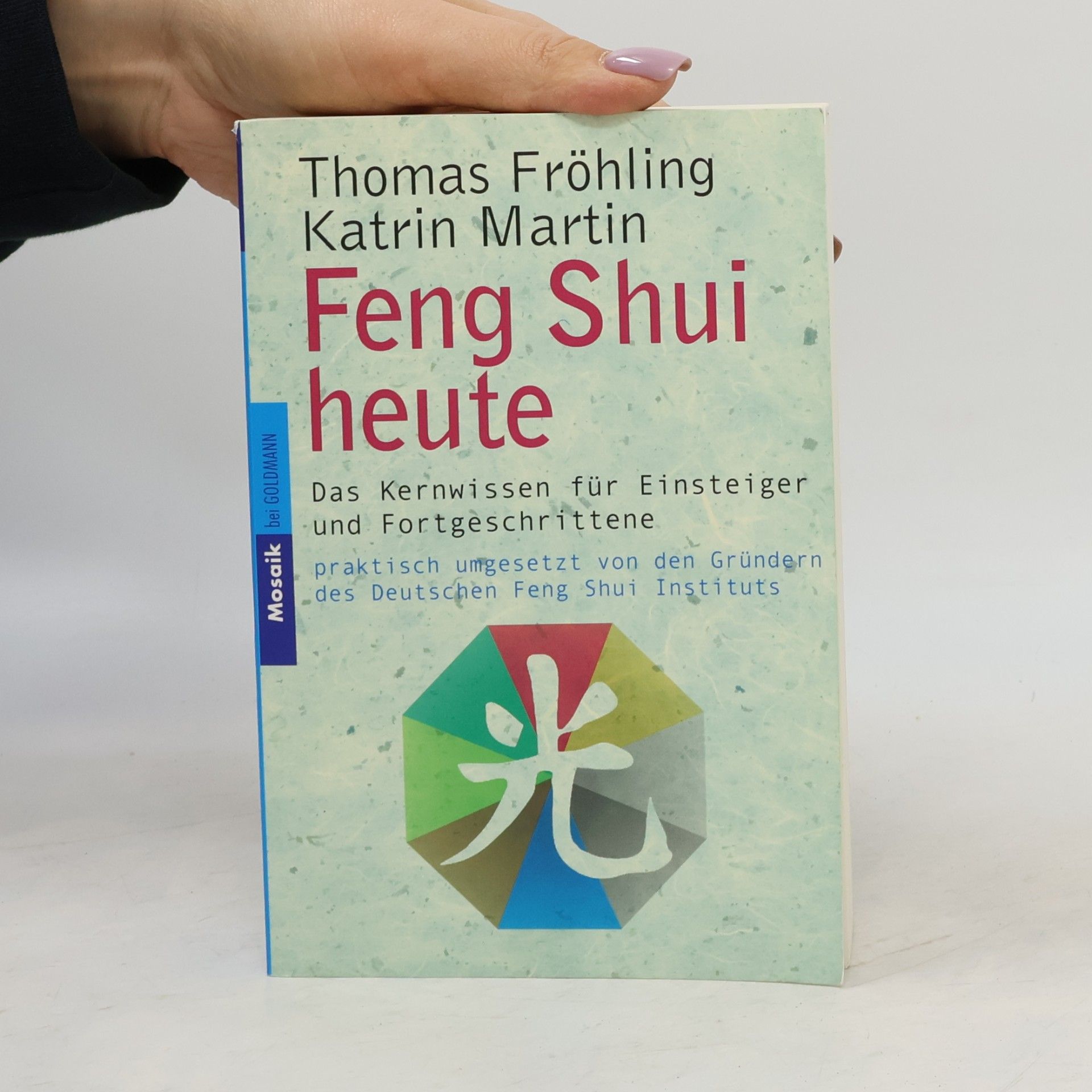 Thomas Fröhling Feng-Shui heute