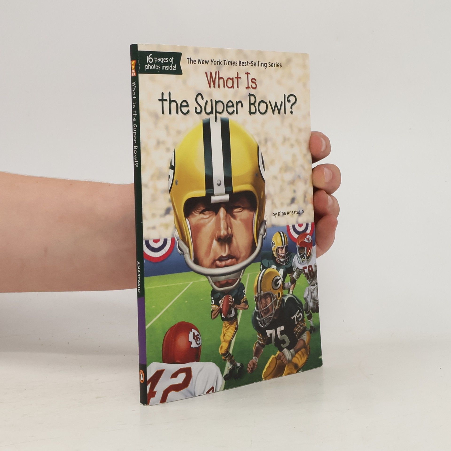What Is the Super Bowl?
