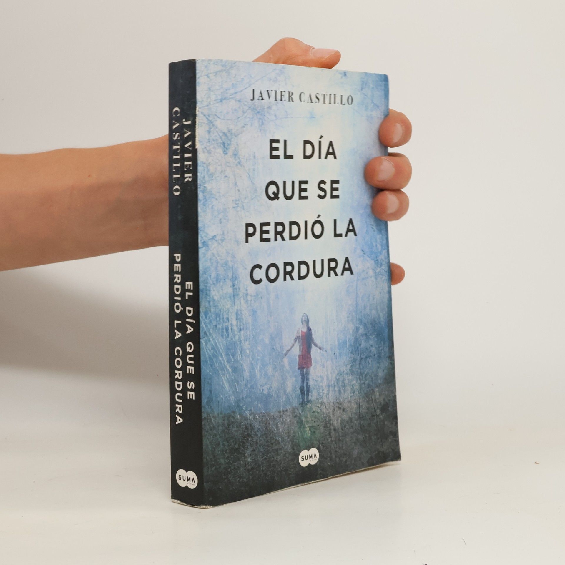 Javier Castillo El día que se perdió la cordura