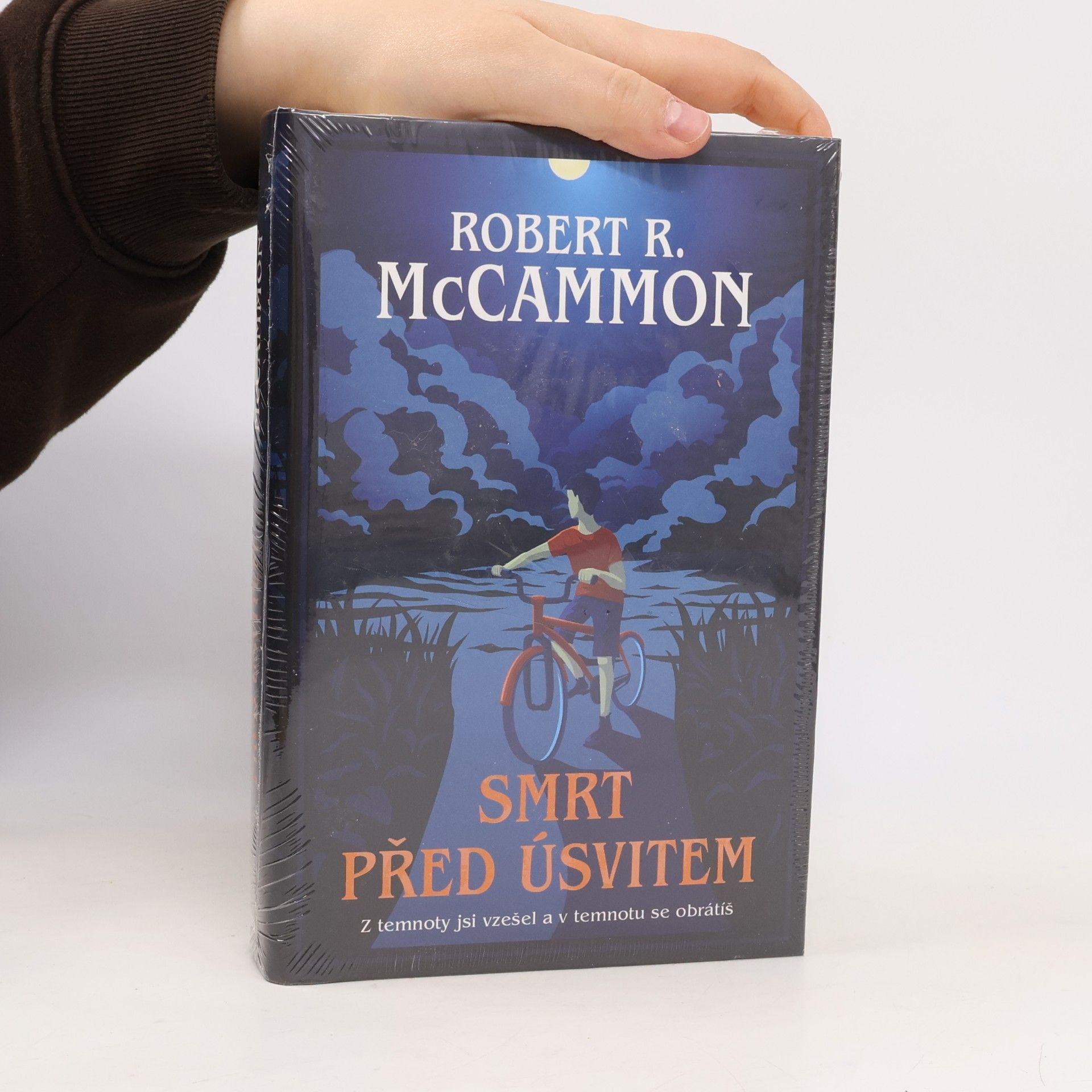 Robert R. McCammon Smrt před úsvitem