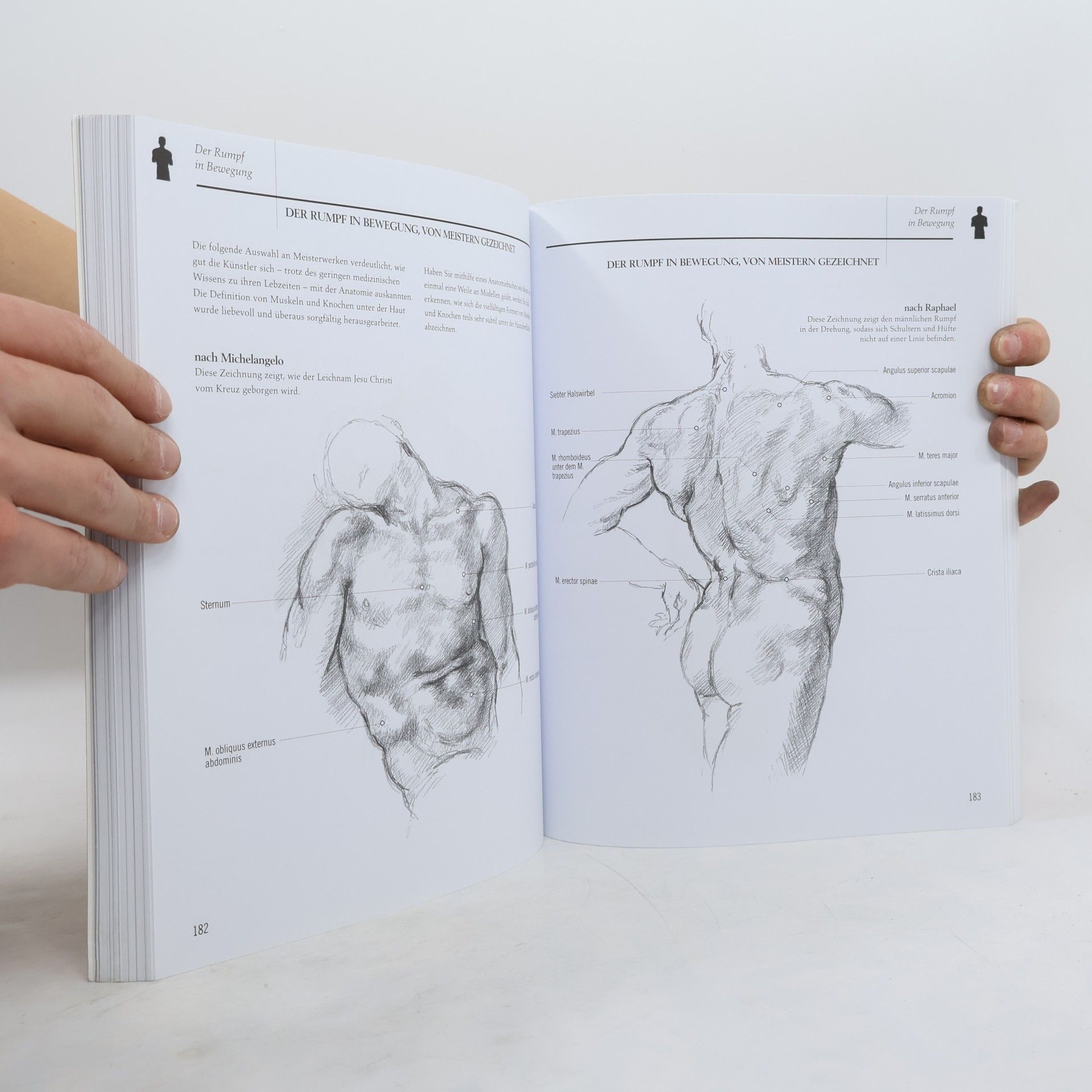Barrington Barber Anatomie für Künstler