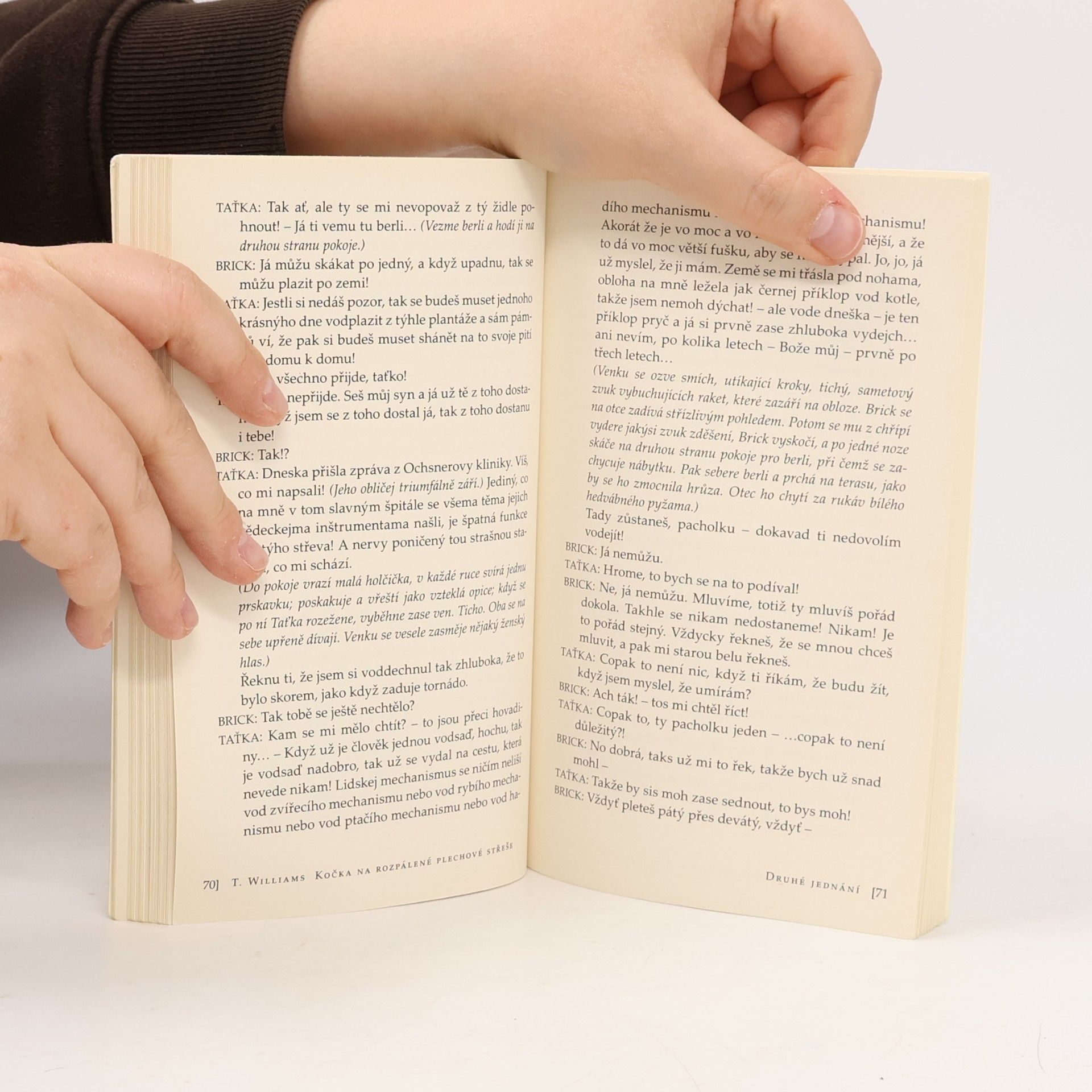 Tennessee Williams Kočka na rozpálené plechové střeše