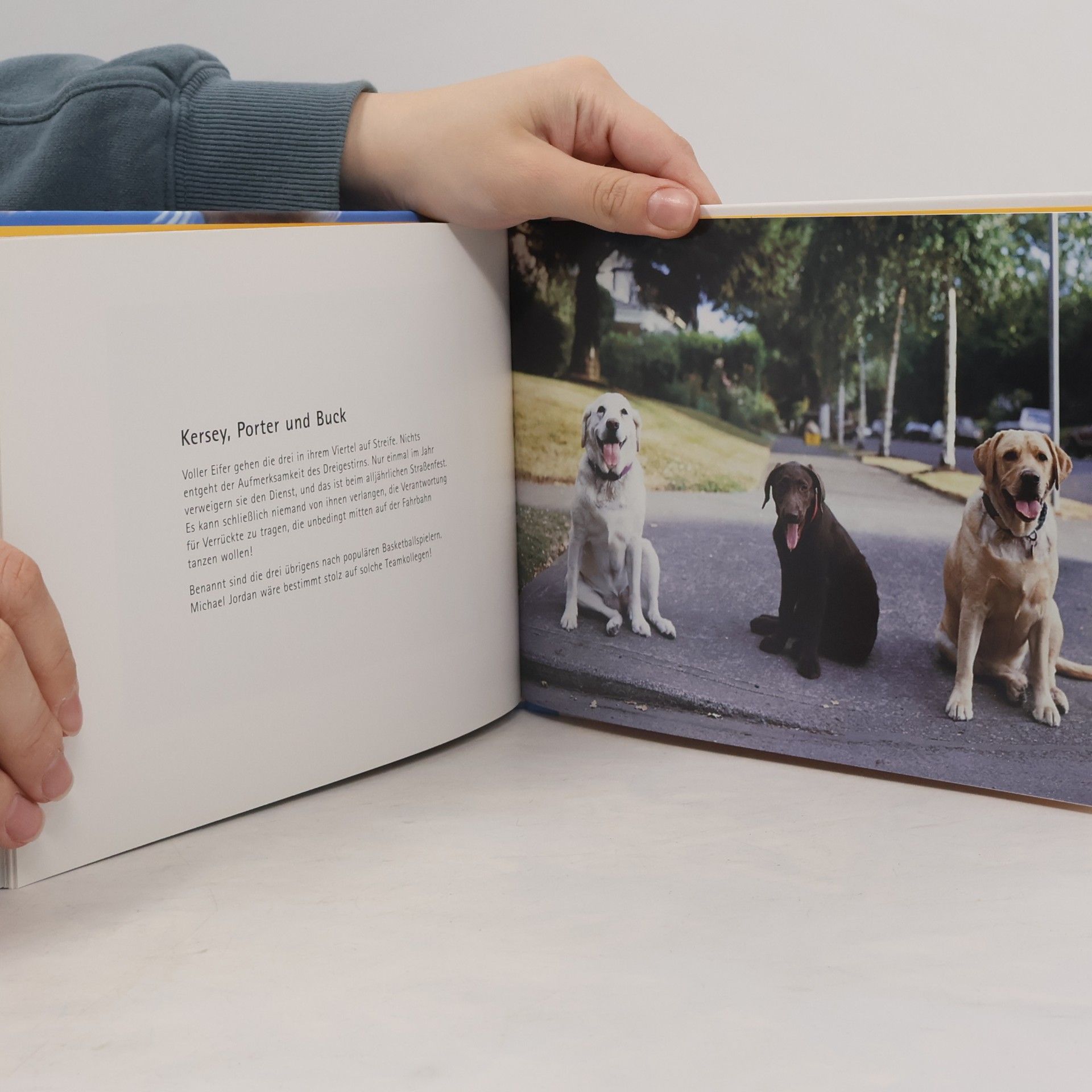 Jeff Selis Hunde sind eben doch die besseren Katzen