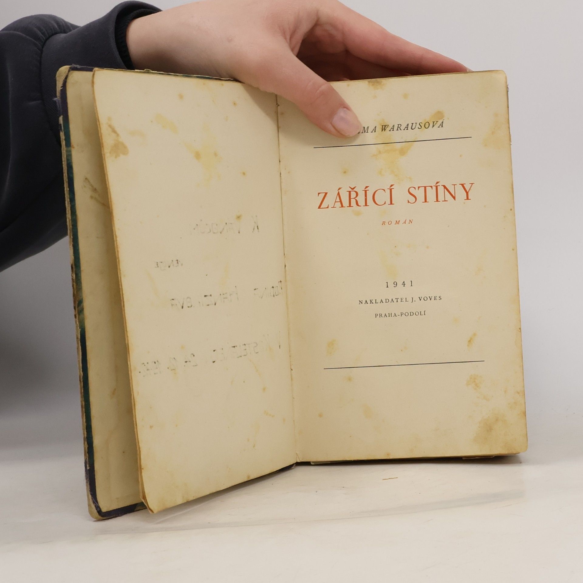 Vilma Warausová Zářící stíny