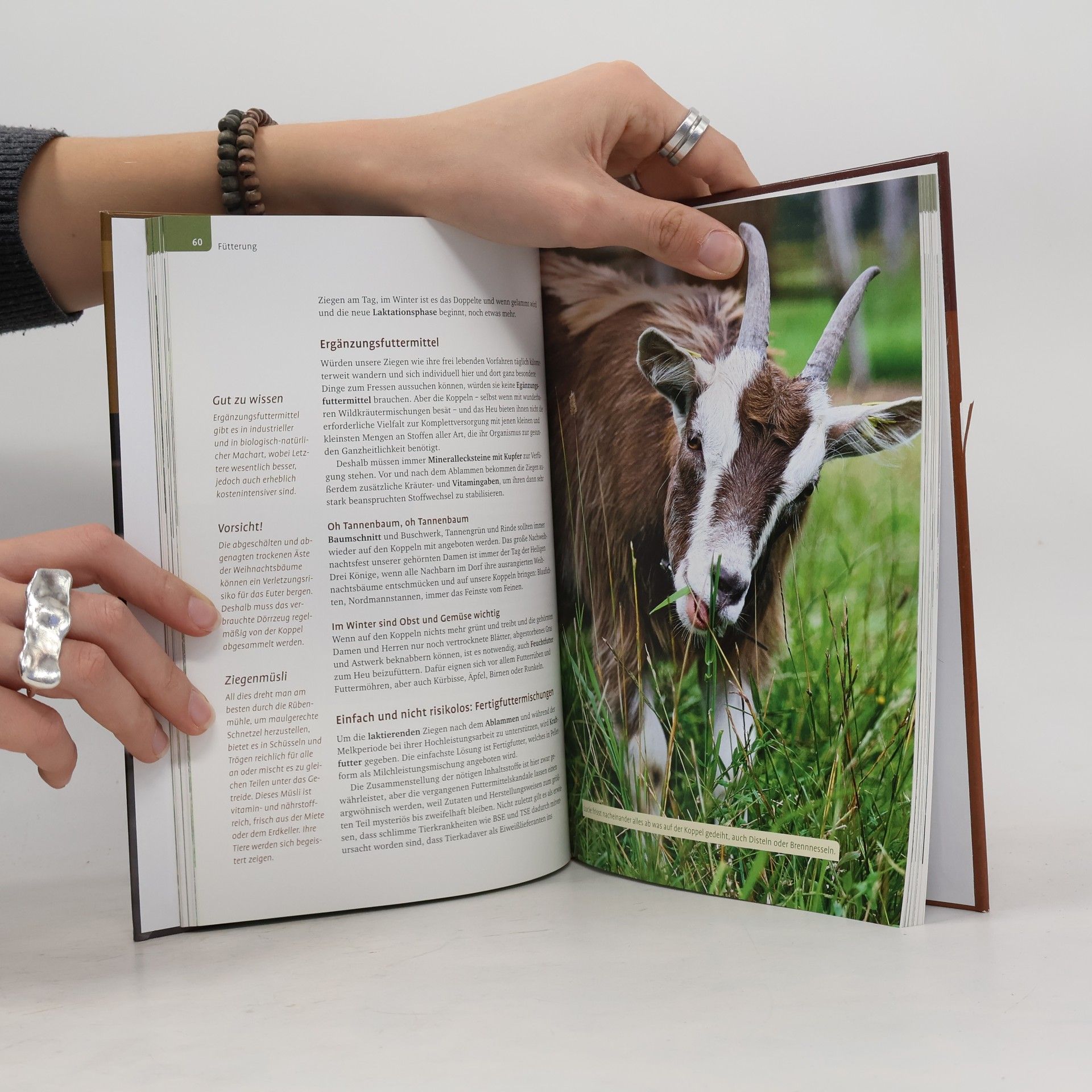Andrea Kurschus Das Milchziegenbuch
