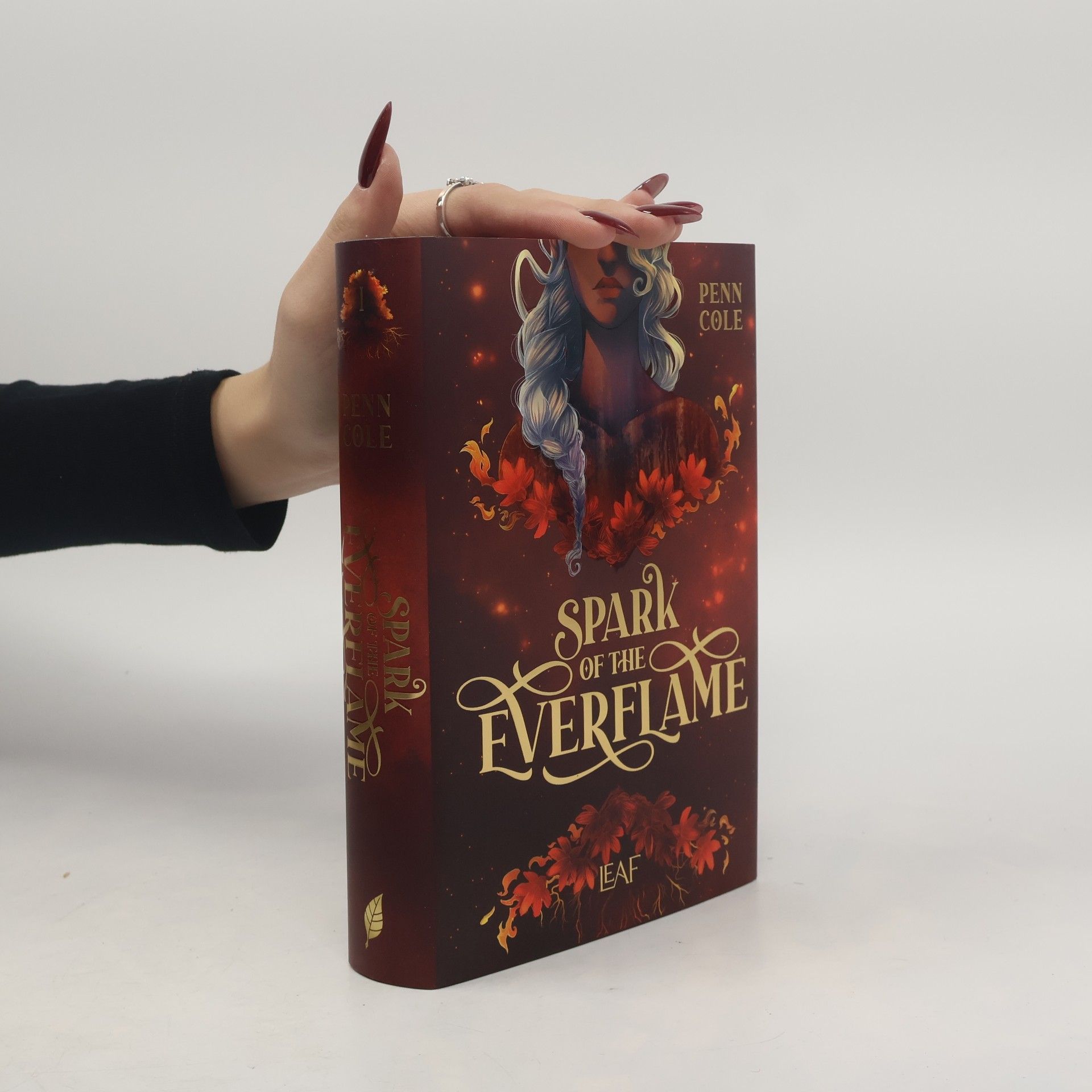 Spark of the Everflame / Kindred´s Curse Saga Bd.1