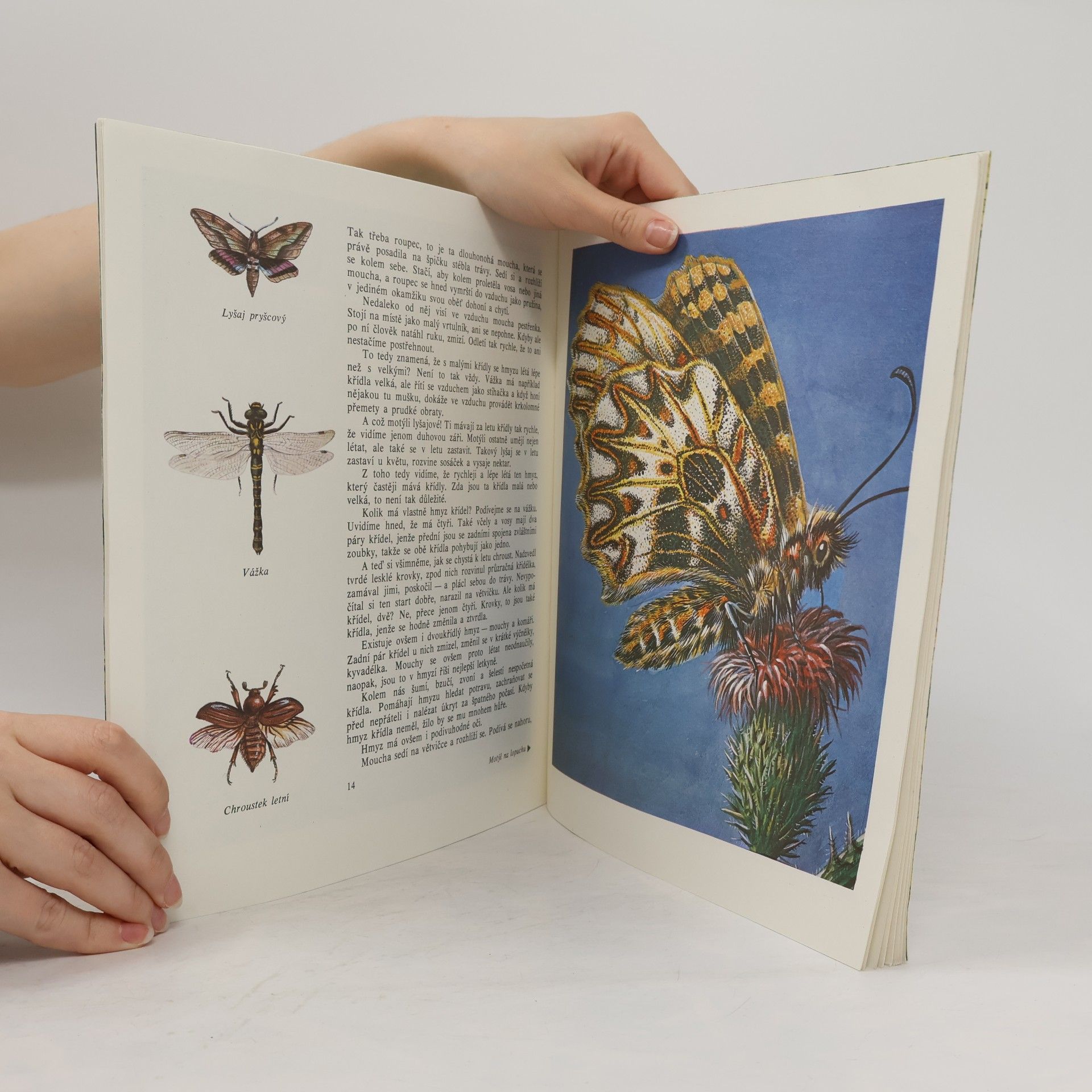Vitalij Tanasijčuk Entomologie v obrázcích