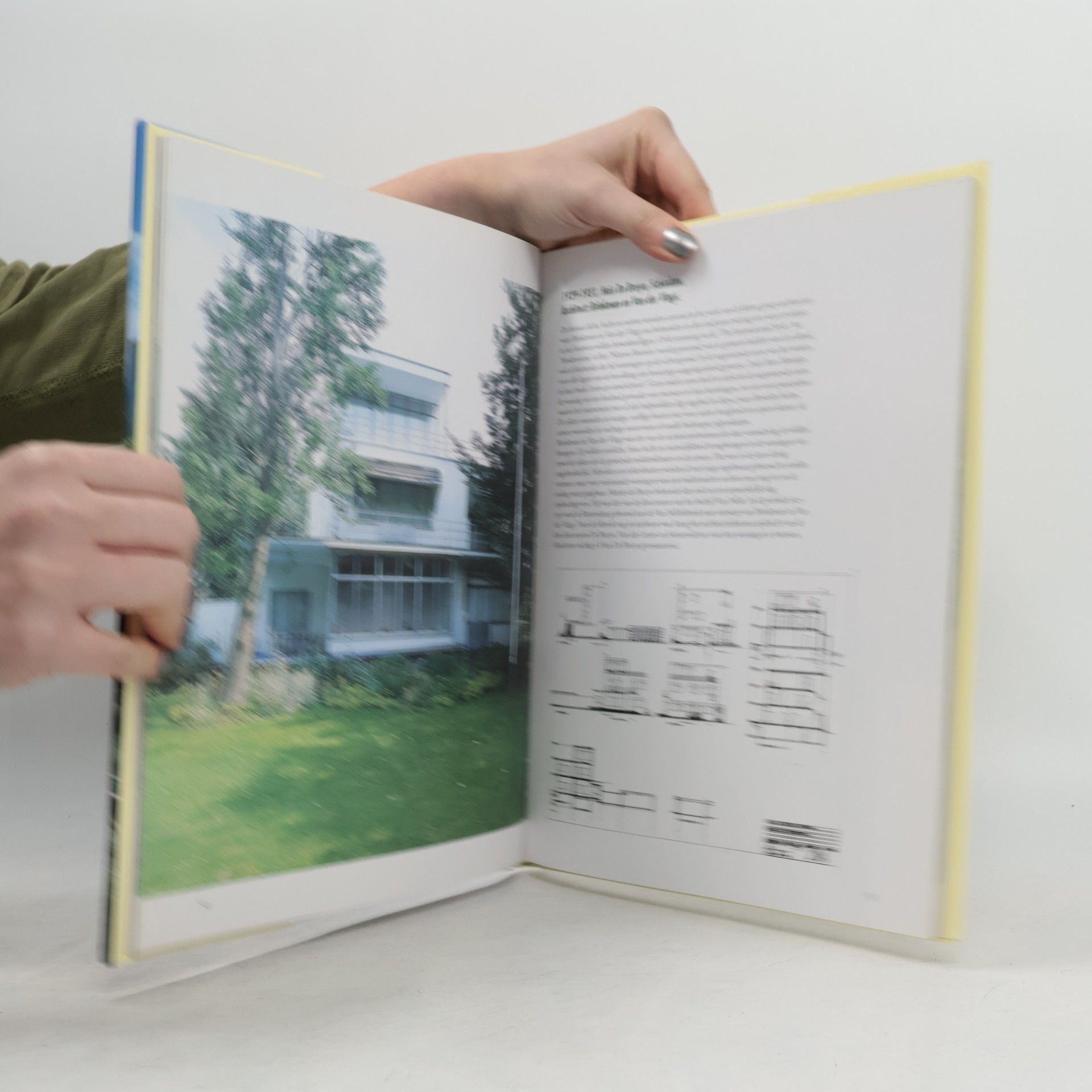 Villa's in Nederland. Onder architectuur gebouwde huizen 1900-2000
