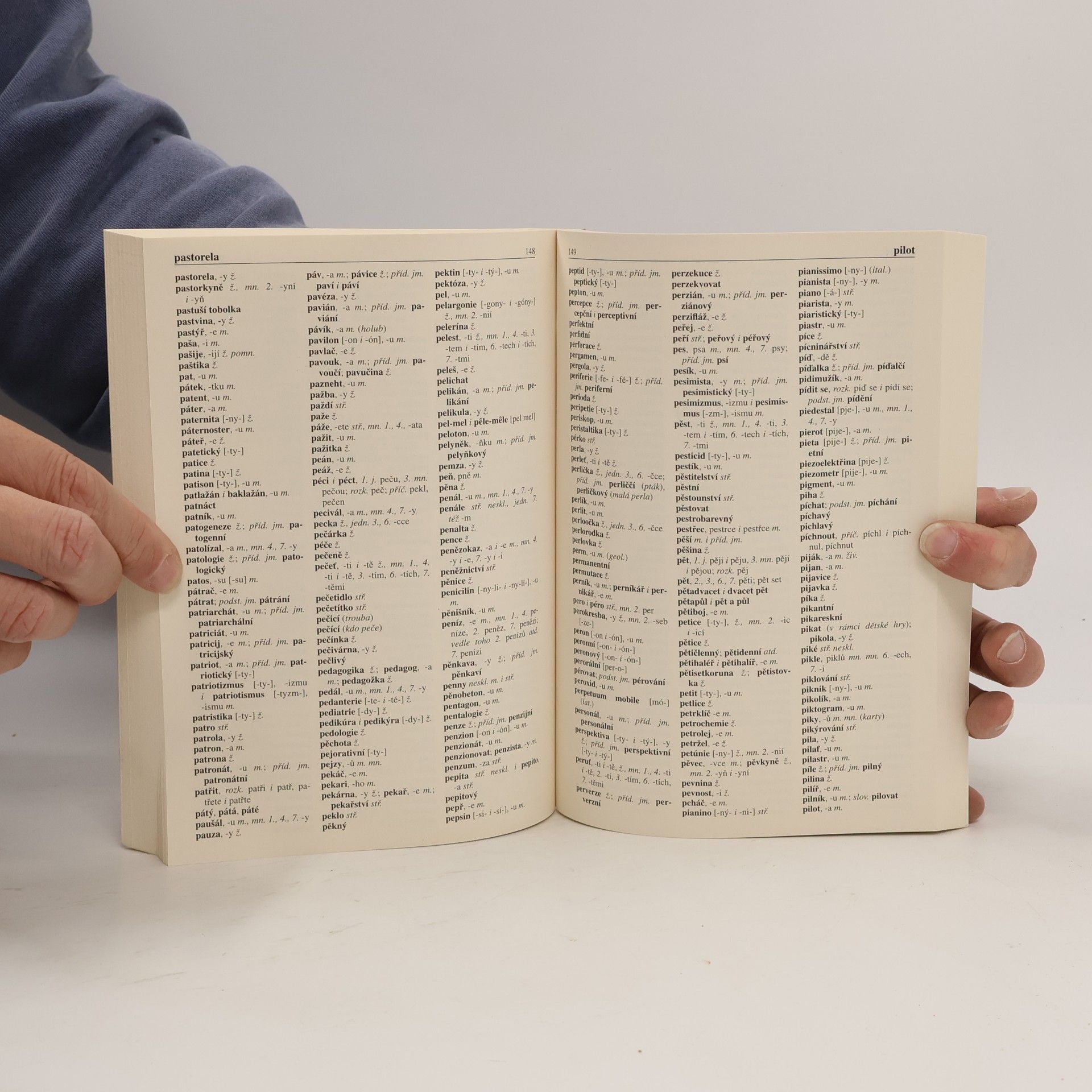 Various authors Pravidla českého pravopisu