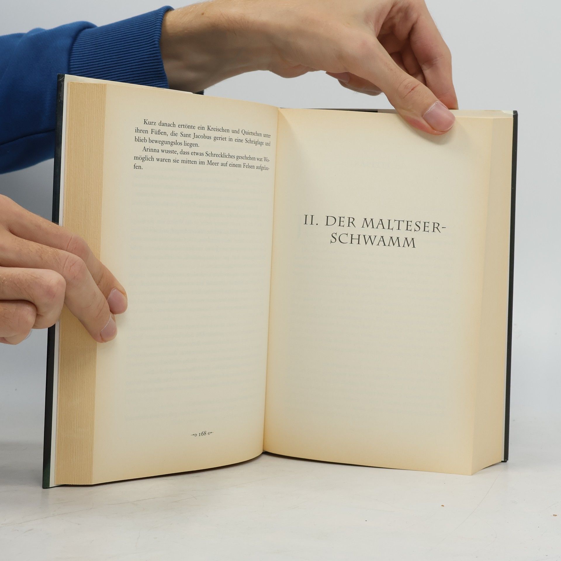 Kari Köster-Lösche Die Pestheilerin