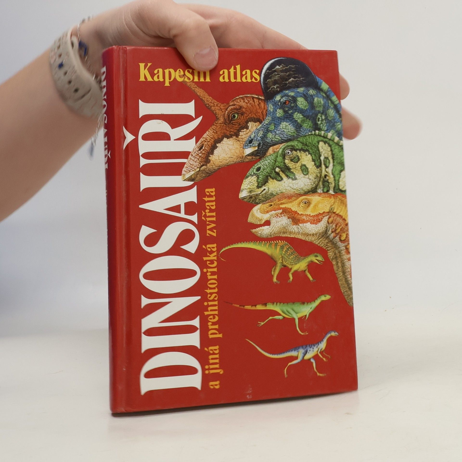 Dinosauři a jiná prehistorická zvířata. Průvodce světem vyhynulých živočichů