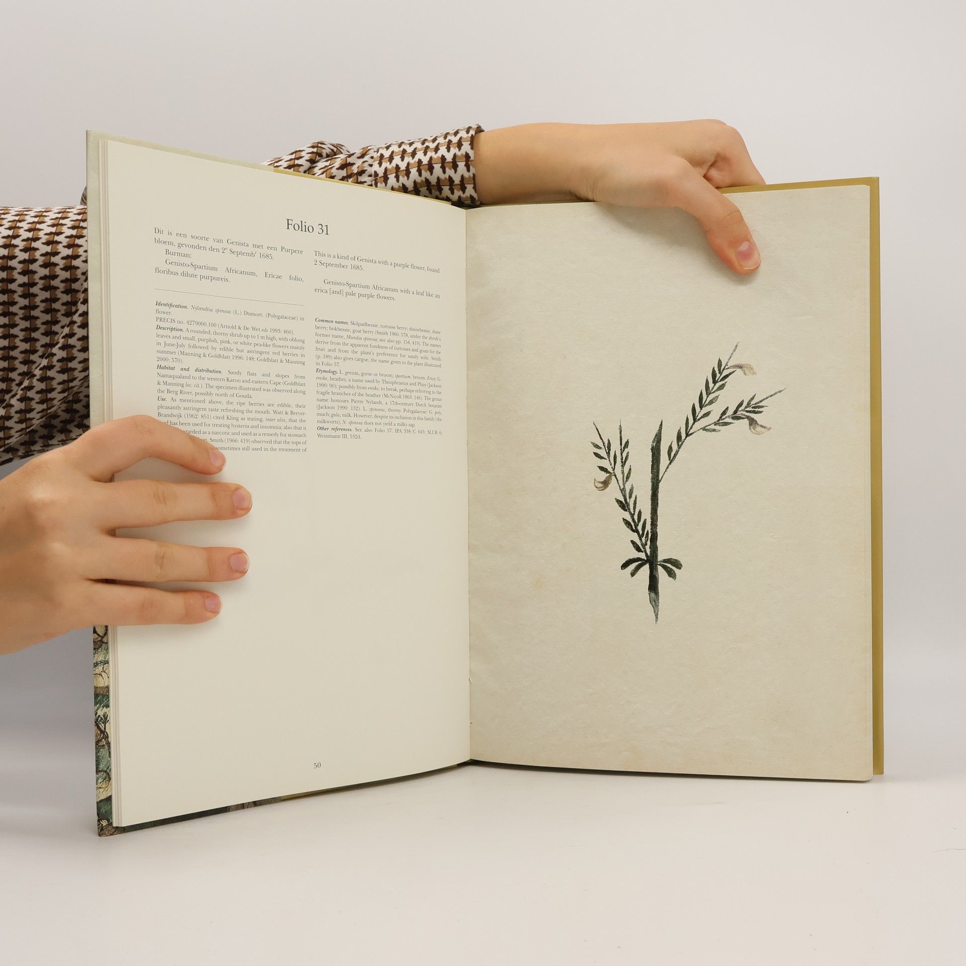 M.L. Wilson Codex Witsenii