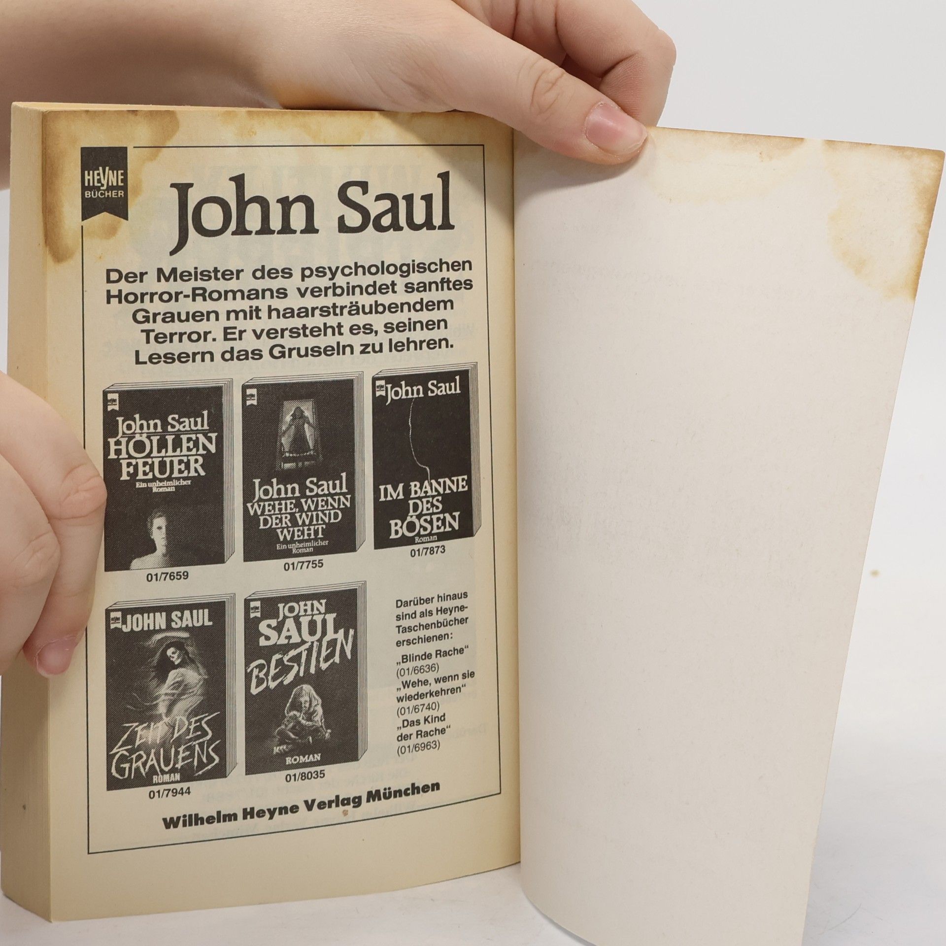 John Farris Engel des Grauens
