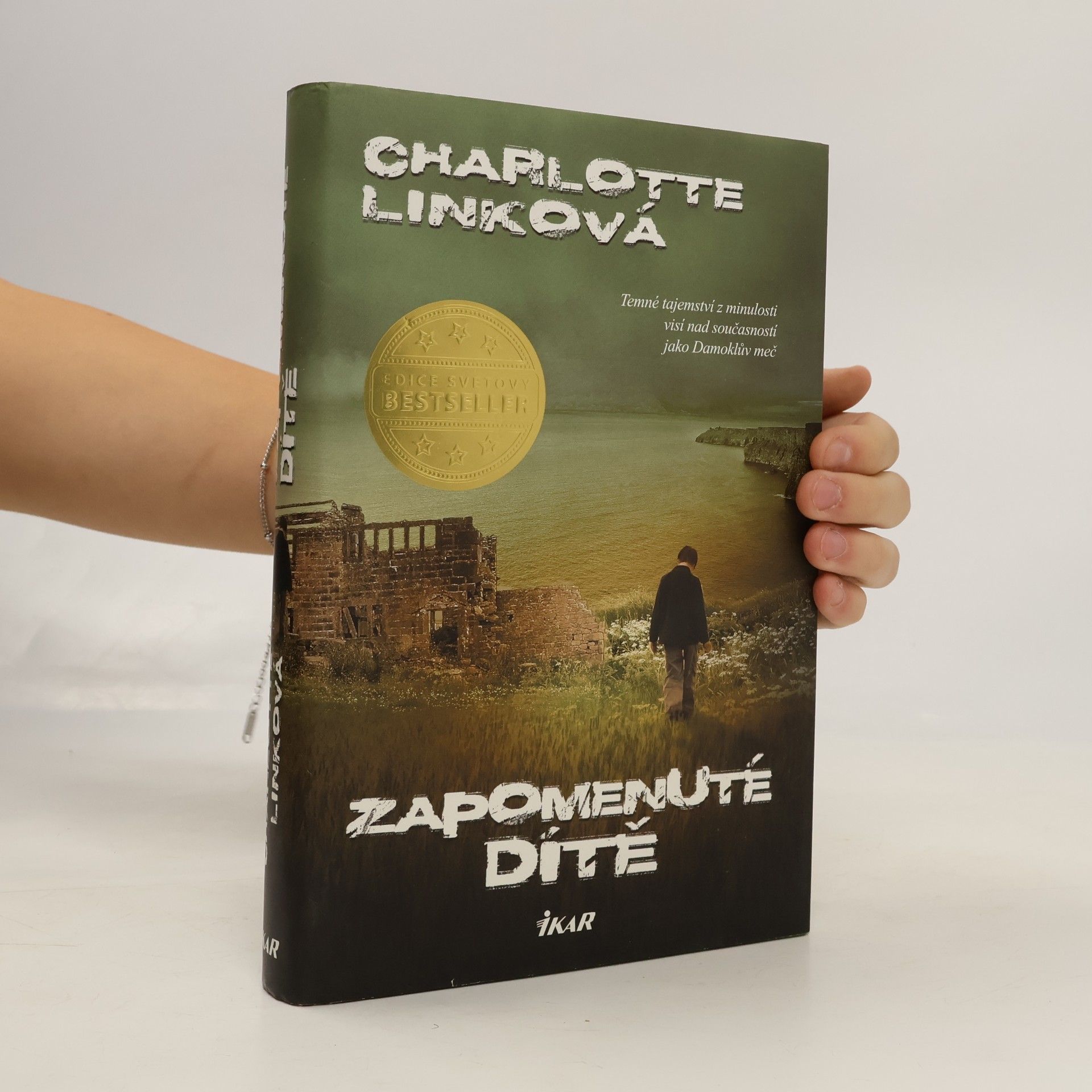Charlotte Link Zapomenuté dítě