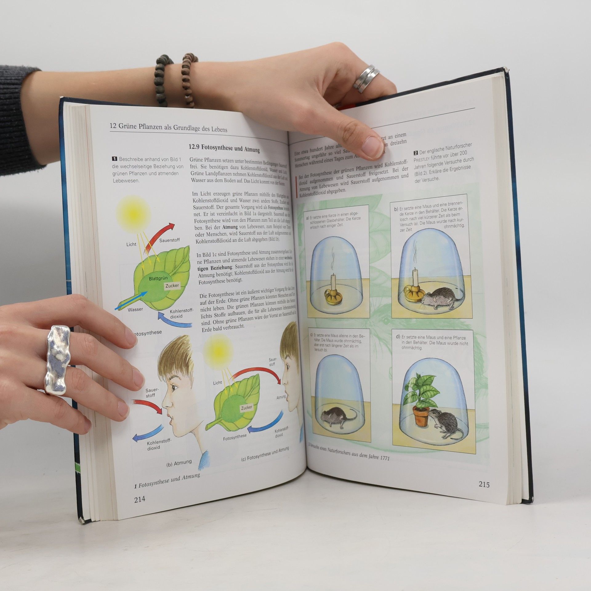 Rainer Hausfeld Natur bewusst, Ausgabe Hauptschule Niedersachsen, 7./8. Schuljahr