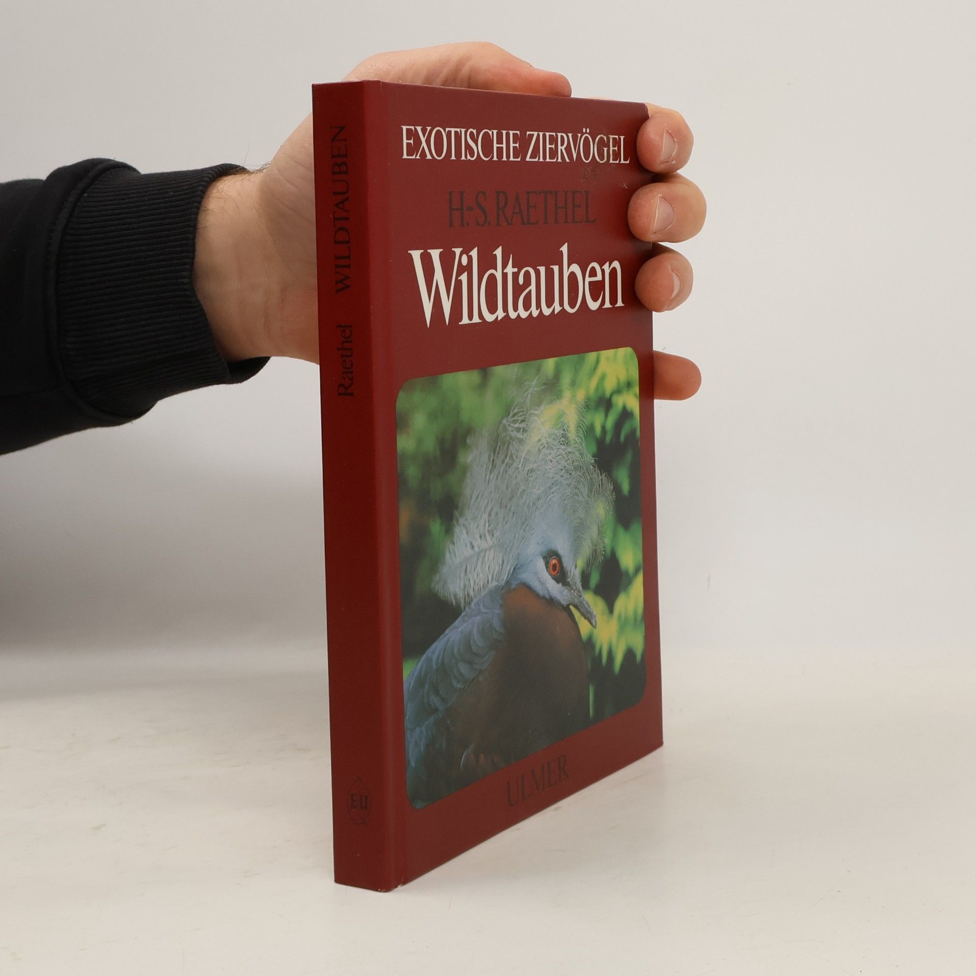 Wildtauben
