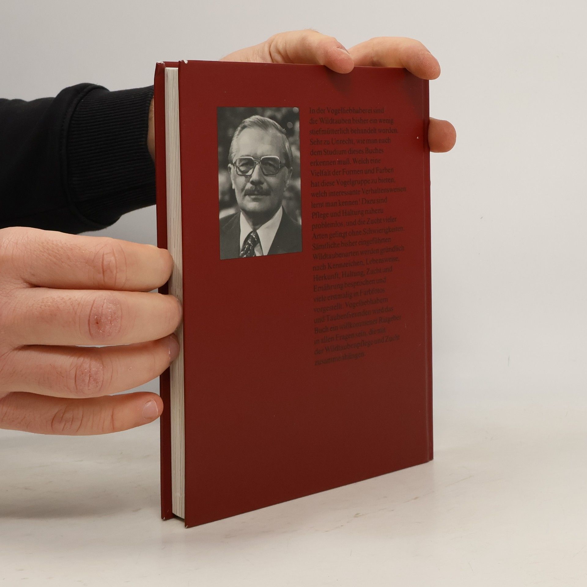 Heinz Sigurd Raethel Wildtauben