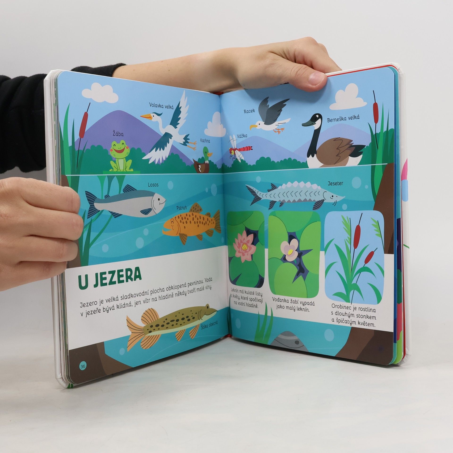 Various authors Encyklopedie pro nejmenší. Příroda