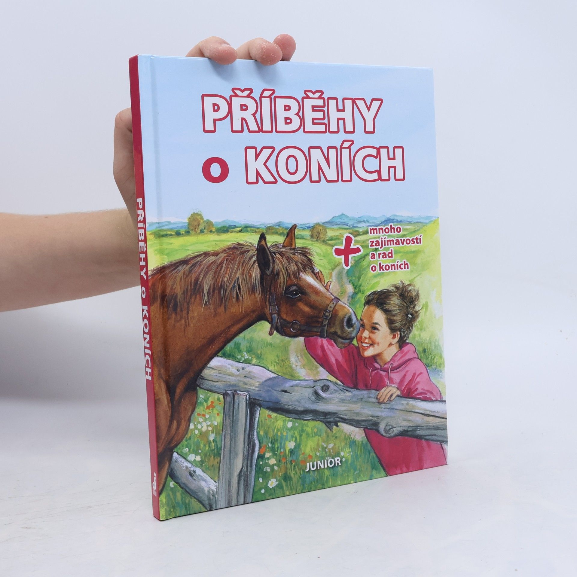 Collectif d'auteurs Příběhy o koních