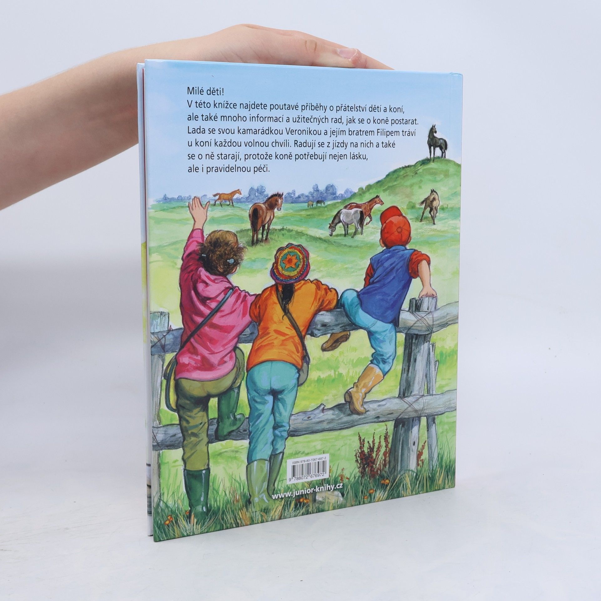 Collectif d'auteurs Příběhy o koních