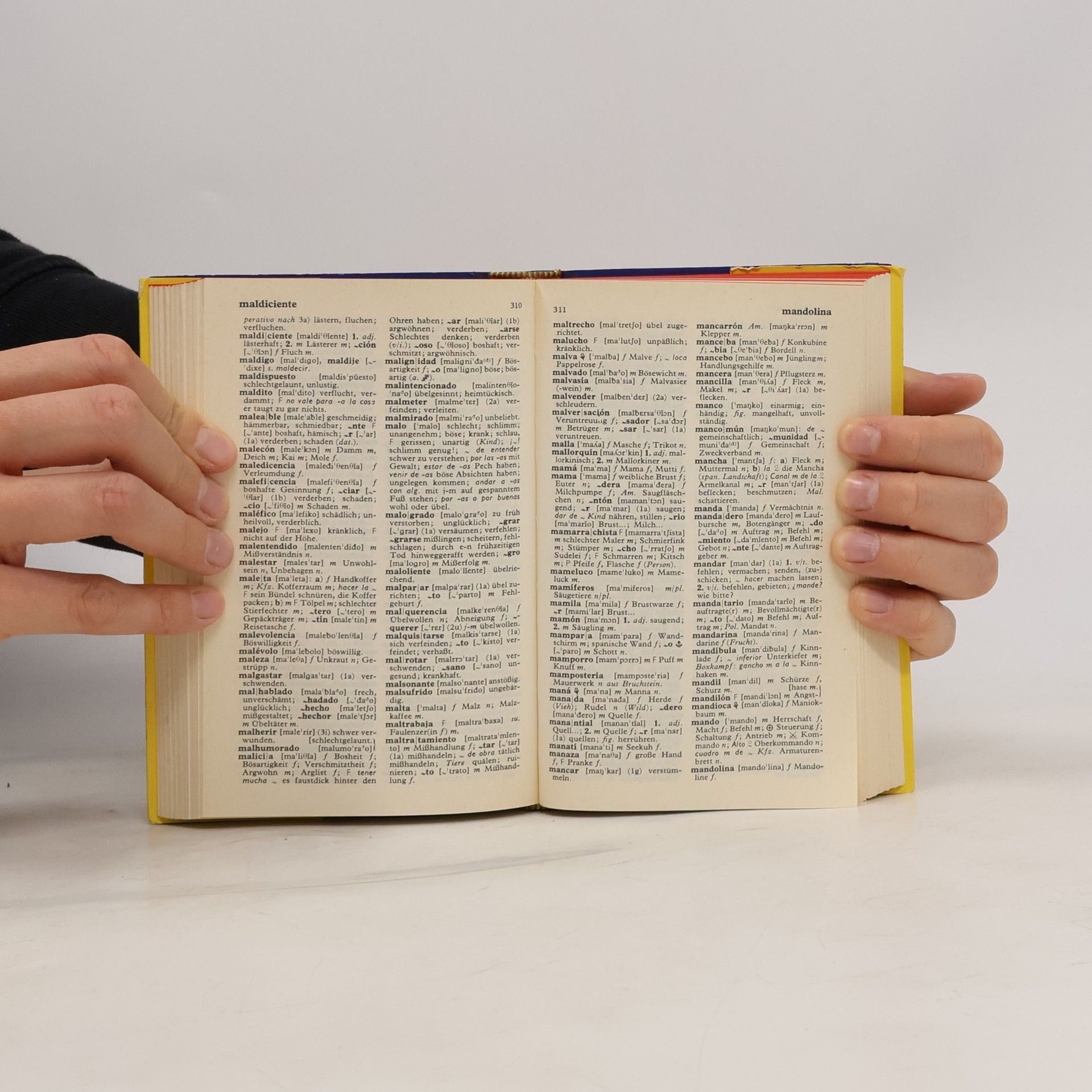 Th. Schoen Langenscheidts Taschenwörterbuch