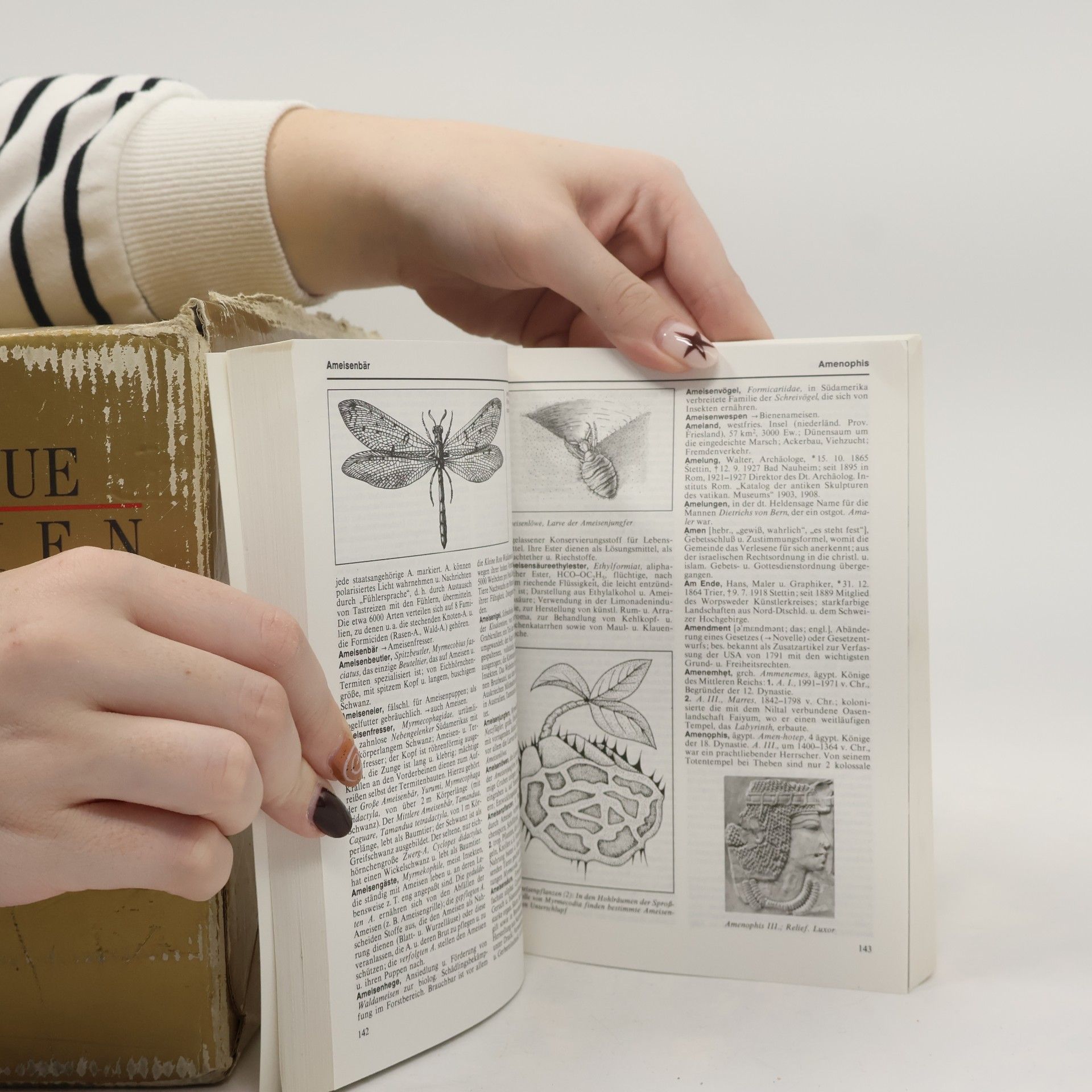 Various authors Das neue Taschen-Lexikon A